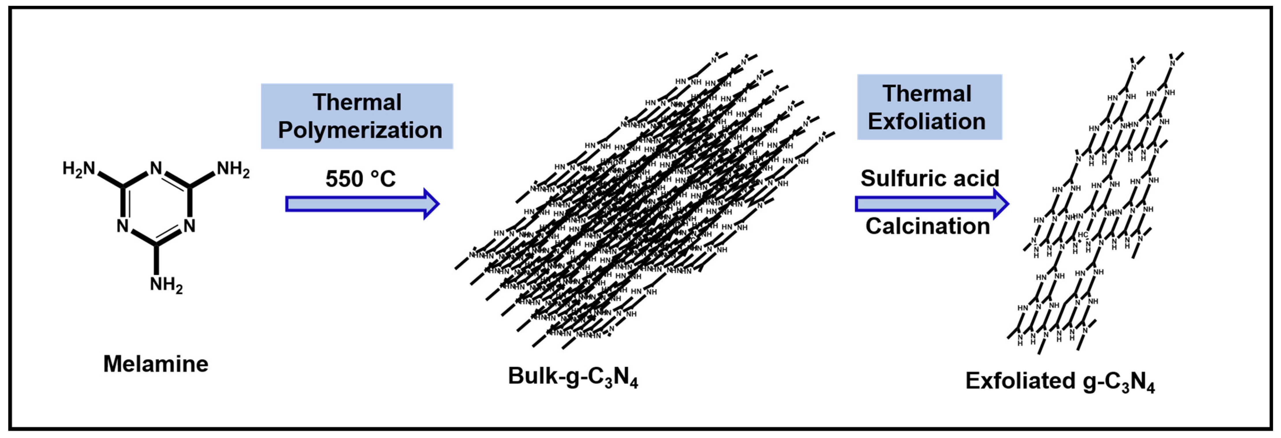 Jof 09 00310 g001 Jof 09 00310 g001