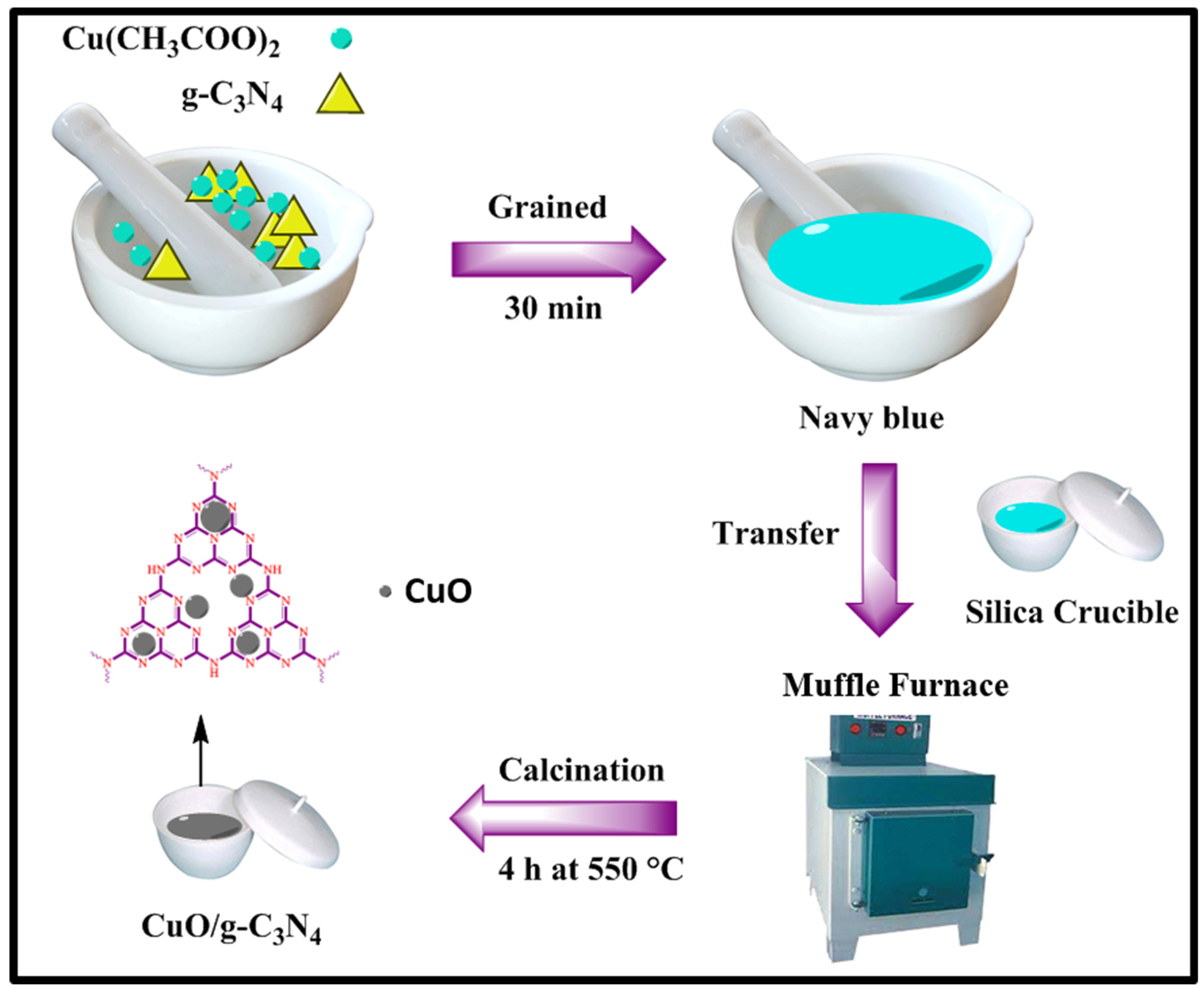 Jof 09 00310 g002 Jof 09 00310 g002