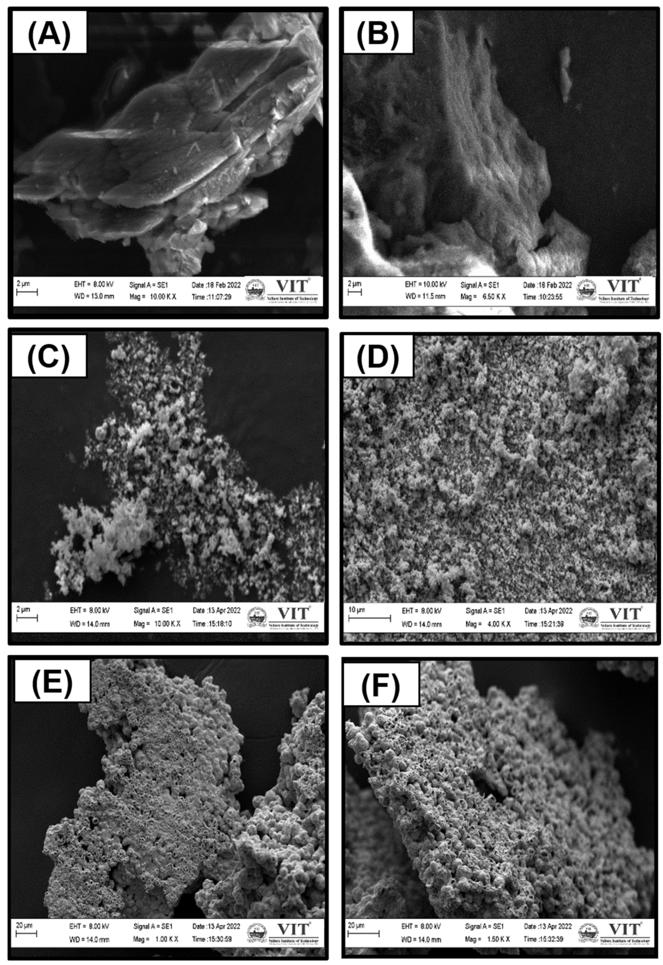 Jof 09 00310 g004a Jof 09 00310 g004a