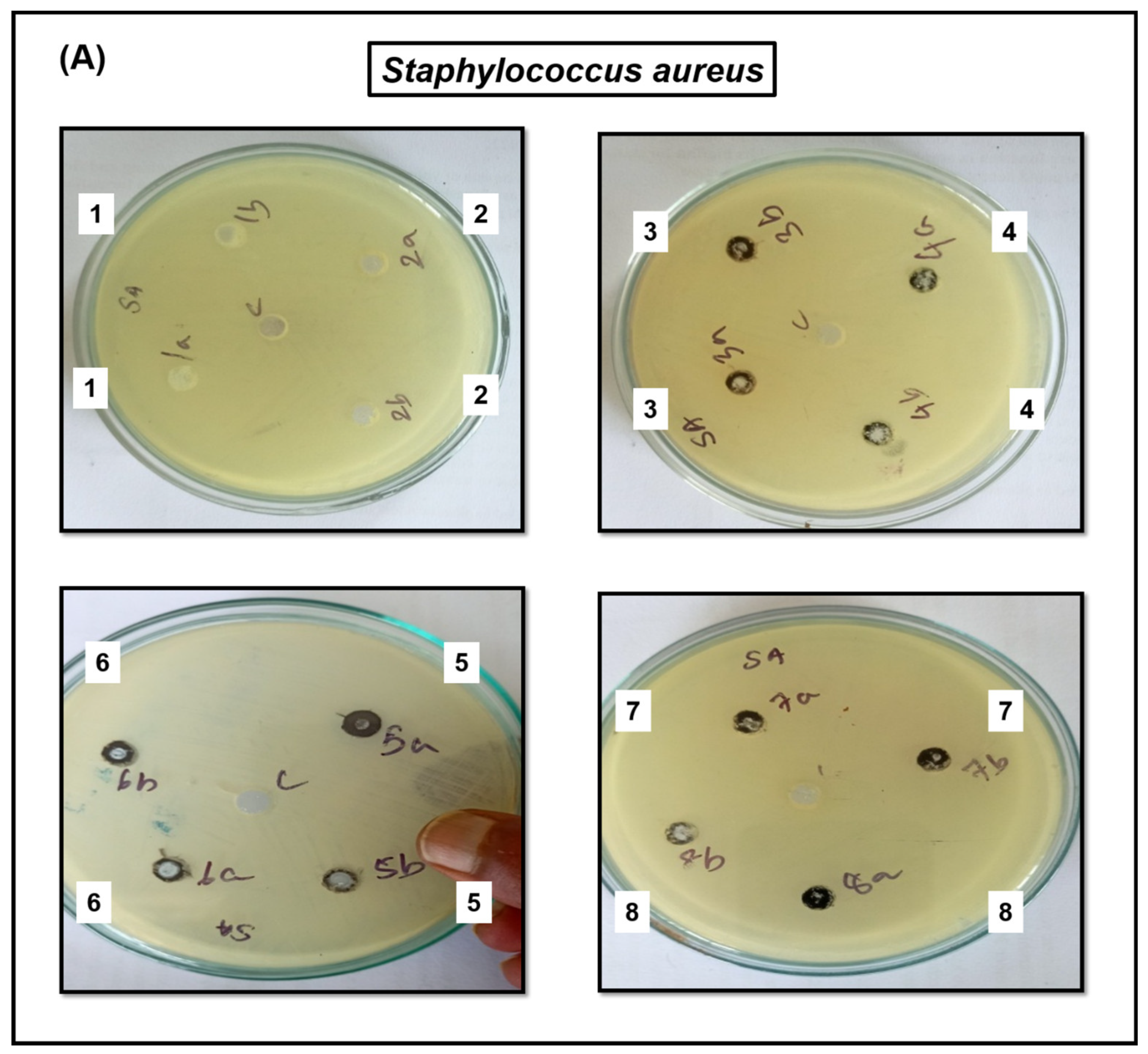 Jof 09 00310 g006a Jof 09 00310 g006a