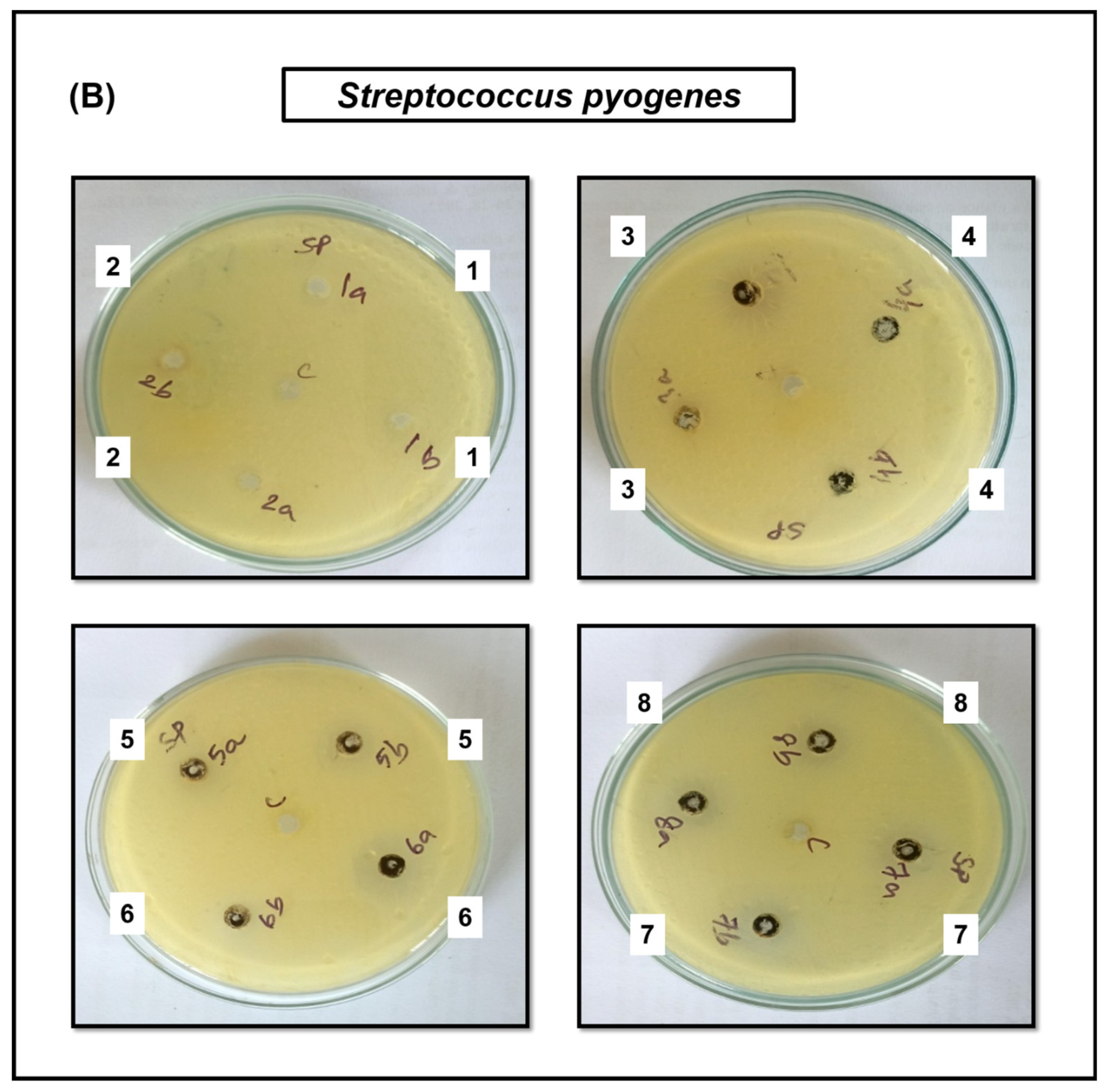 Jof 09 00310 g006b Jof 09 00310 g006b