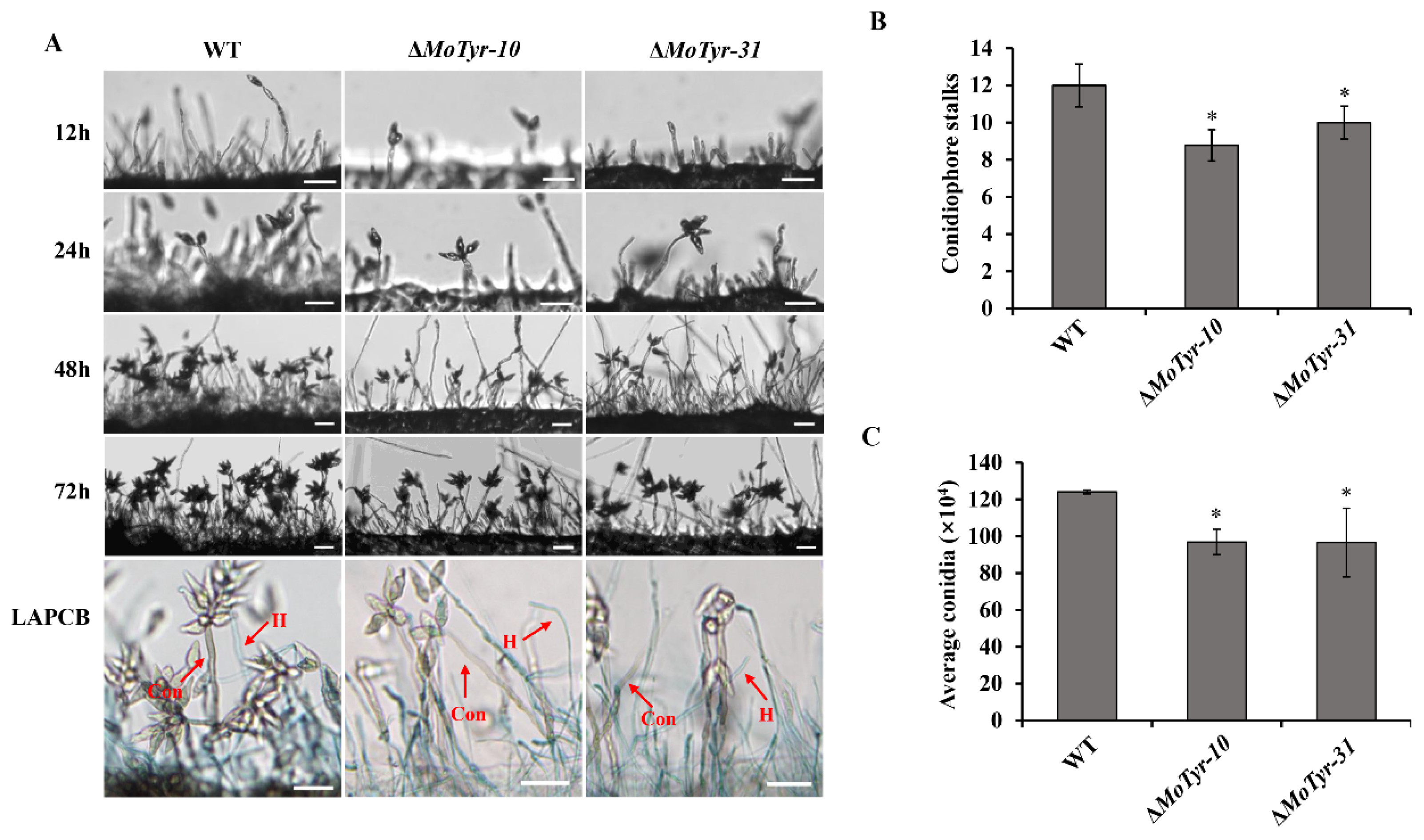 Jof 09 00311 g002 Jof 09 00311 g002