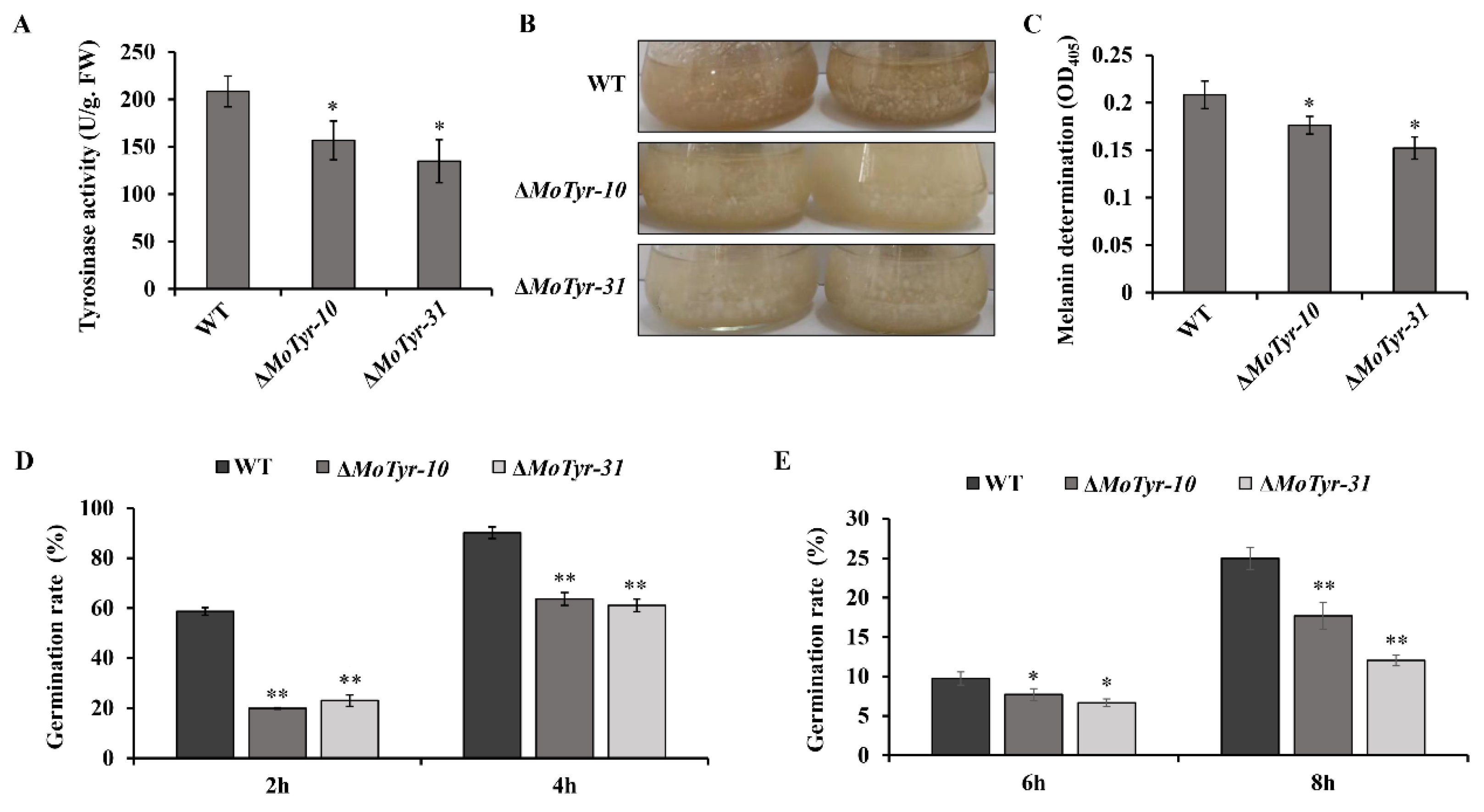 Jof 09 00311 g004 Jof 09 00311 g004