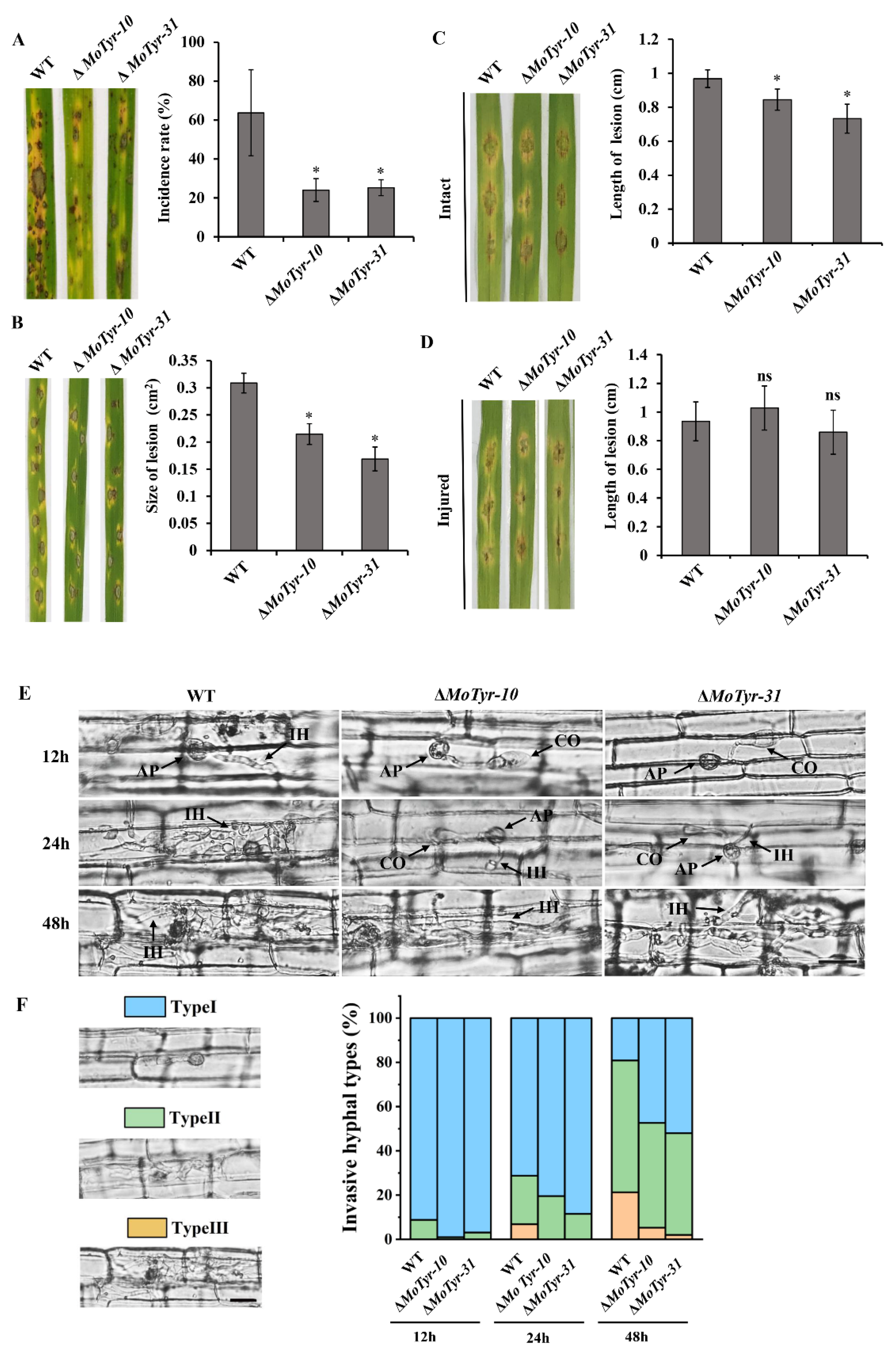 Jof 09 00311 g005 Jof 09 00311 g005