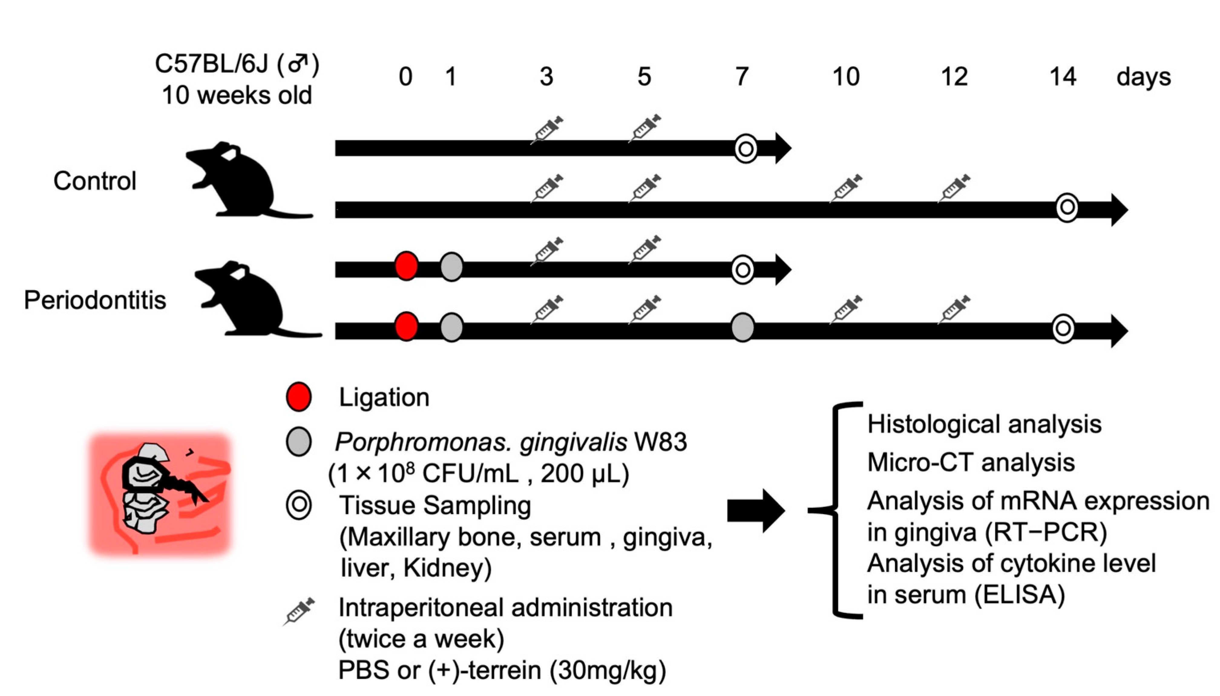 Jof 09 00314 g002 Jof 09 00314 g002