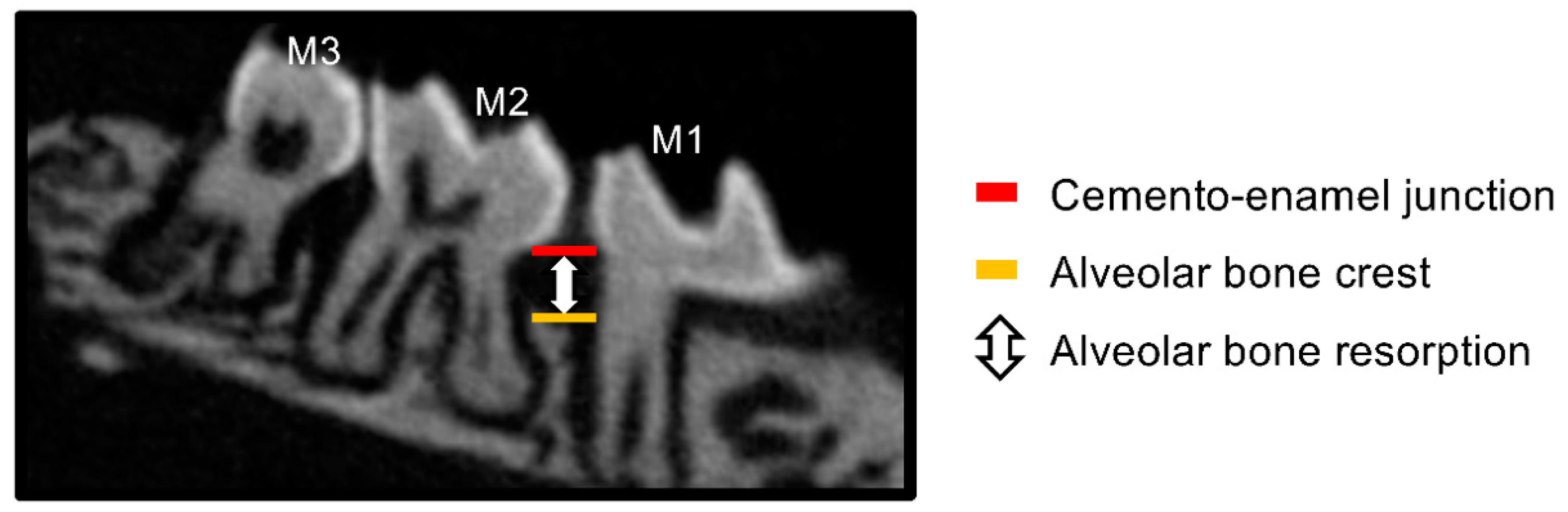Jof 09 00314 g003 Jof 09 00314 g003