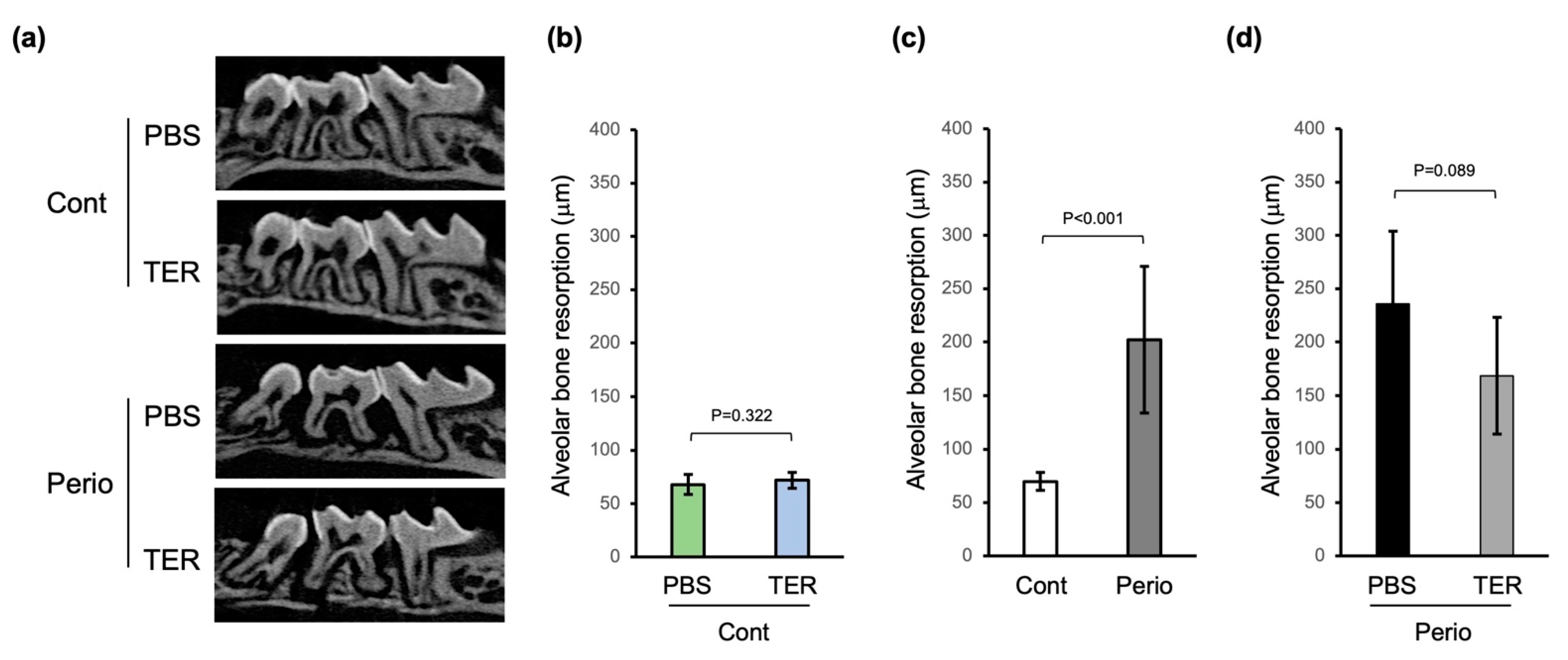 Jof 09 00314 g004 Jof 09 00314 g004