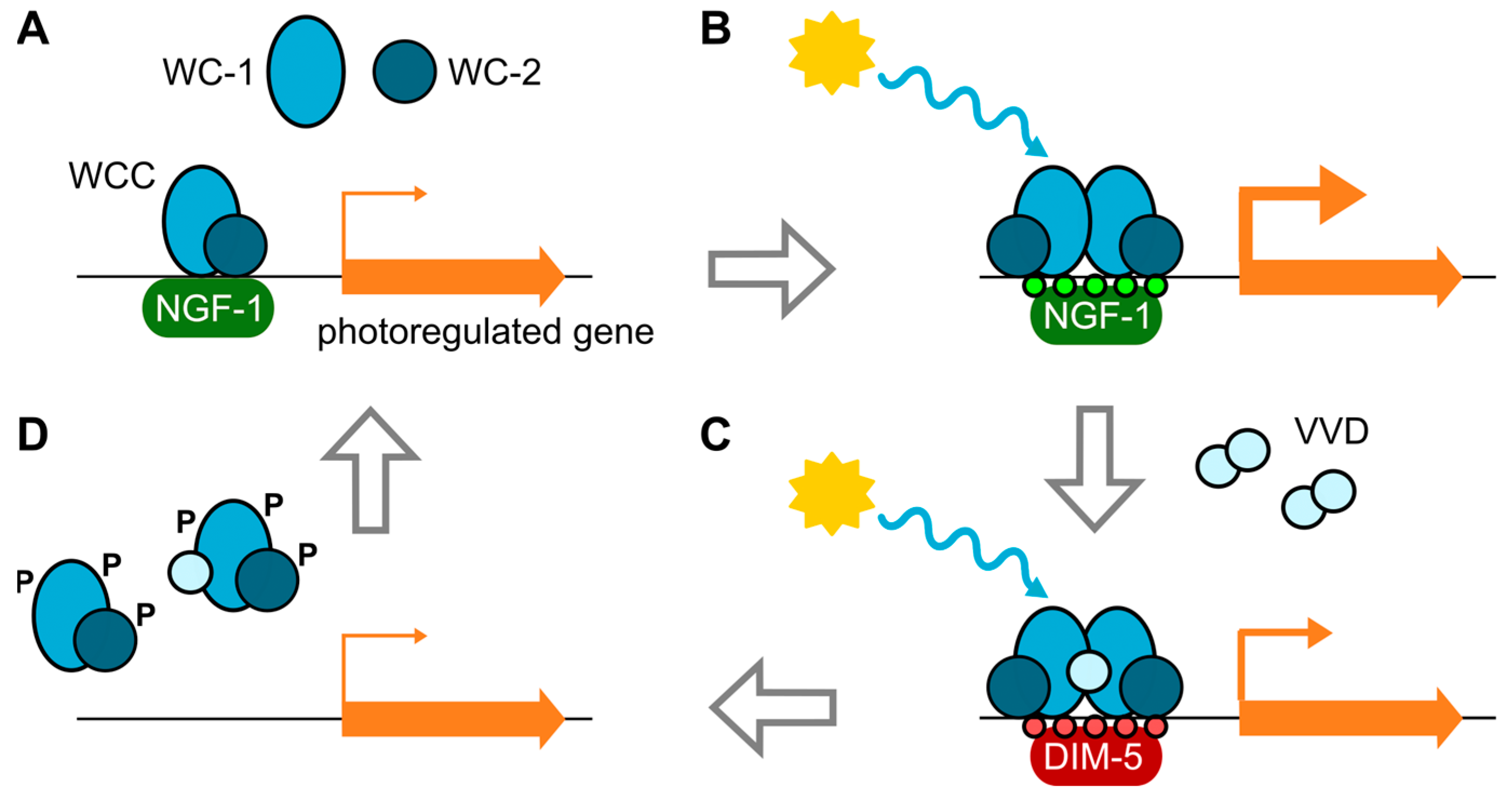 Jof 09 00319 g002 Jof 09 00319 g002