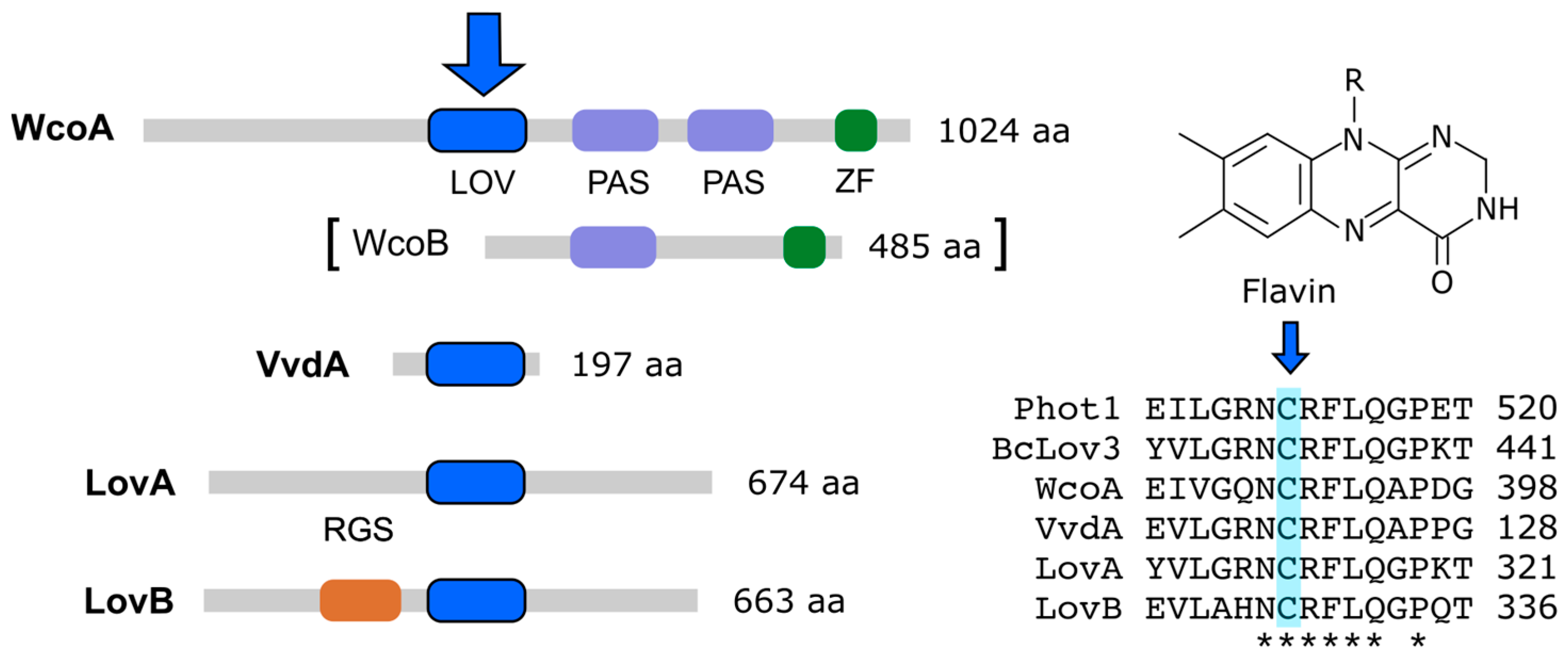 Jof 09 00319 g003 Jof 09 00319 g003