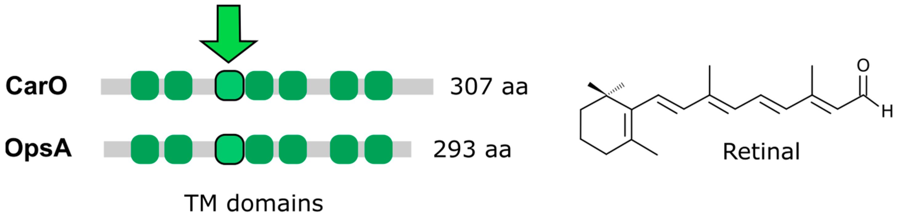 Jof 09 00319 g006 Jof 09 00319 g006