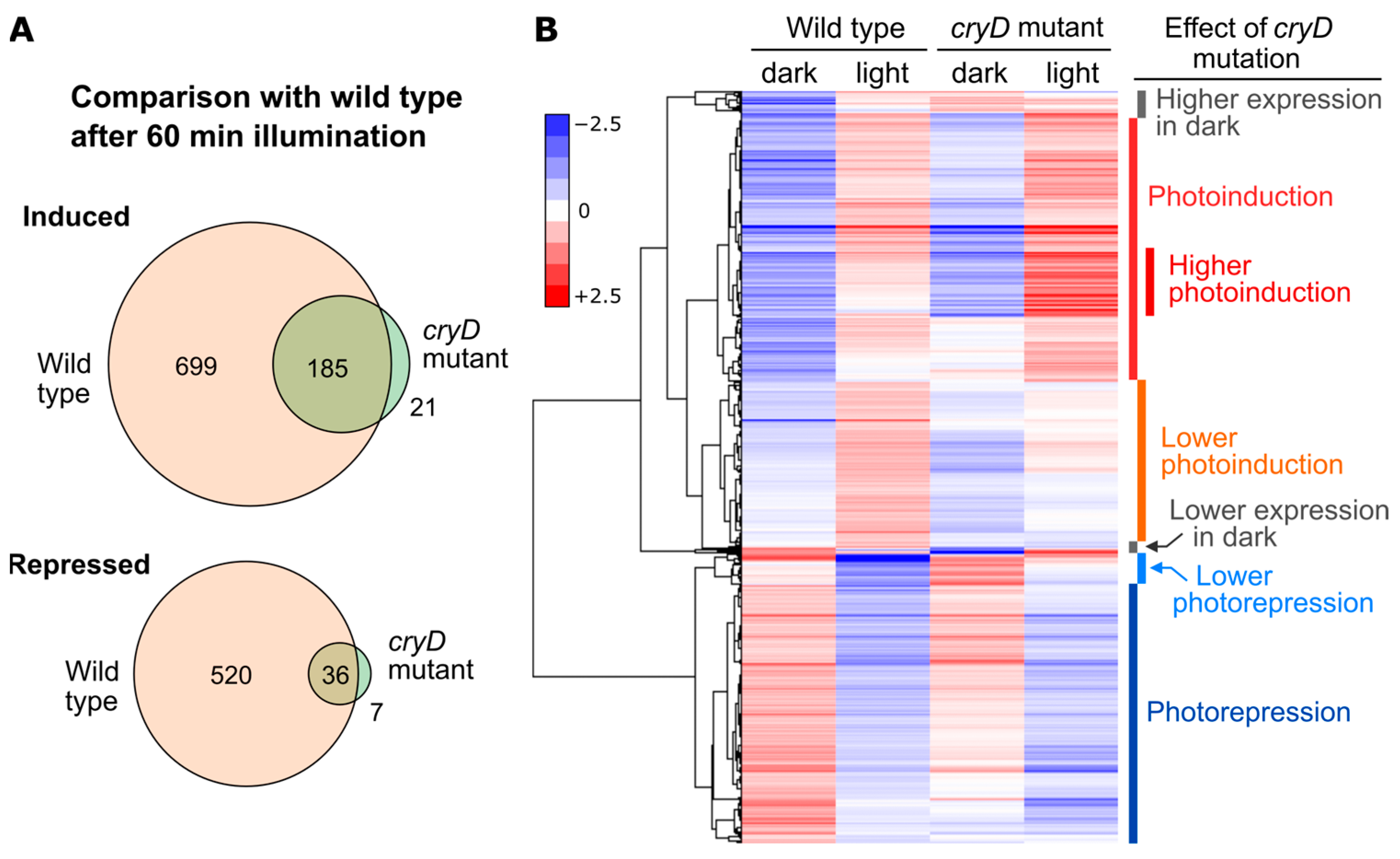 Jof 09 00319 g010 Jof 09 00319 g010
