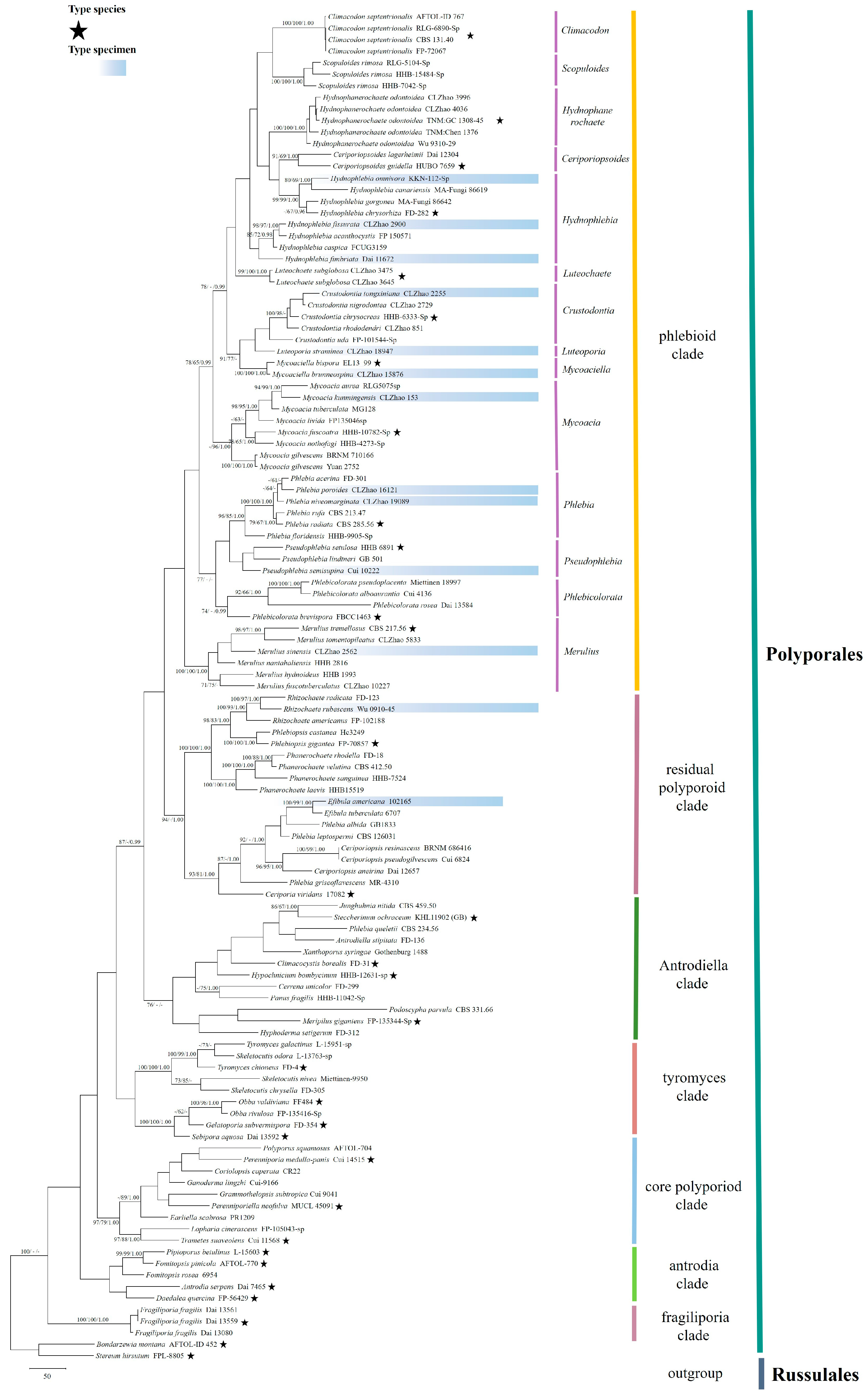 Jof 09 00320 g001 Jof 09 00320 g001