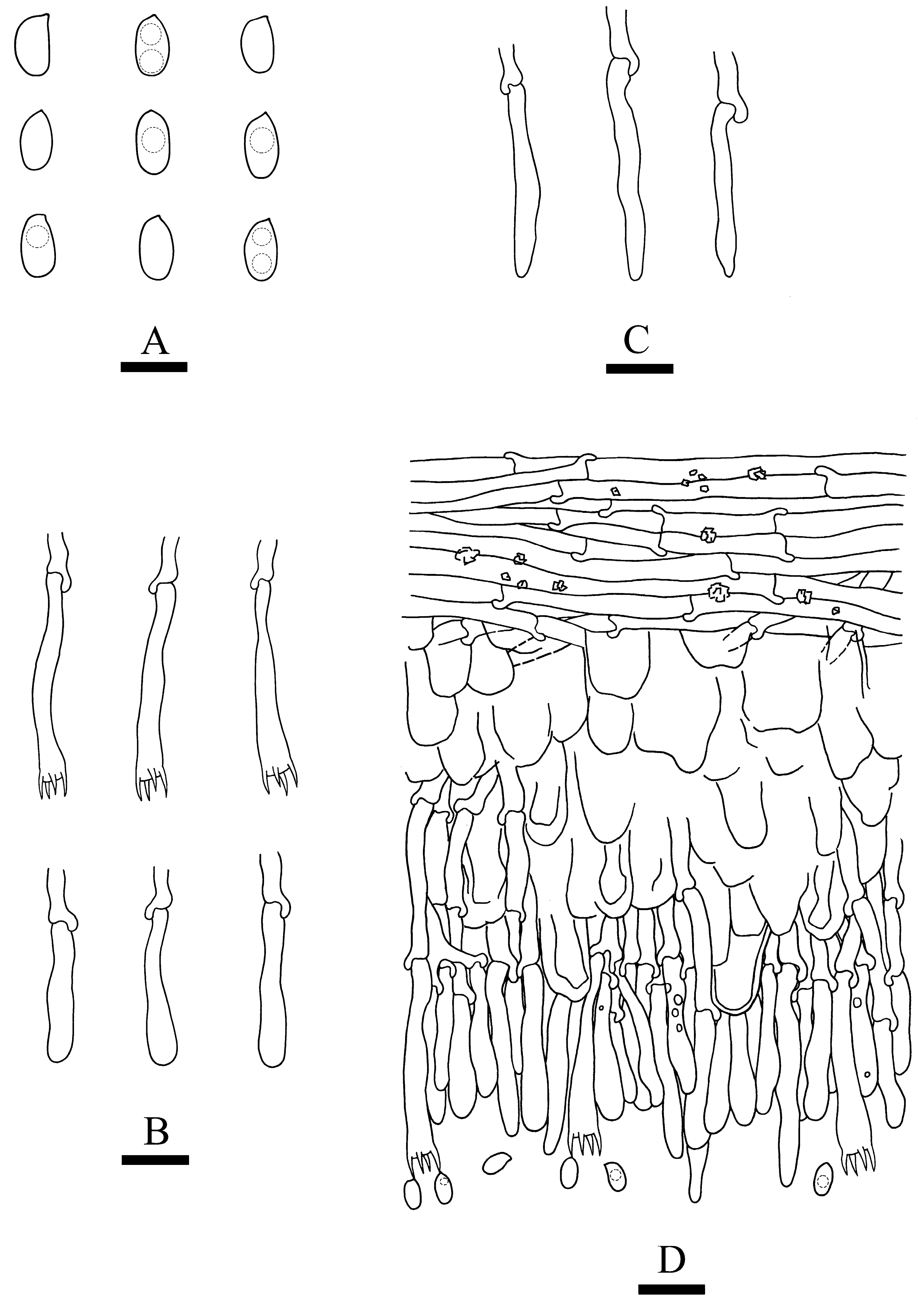 Jof 09 00320 g004 Jof 09 00320 g004