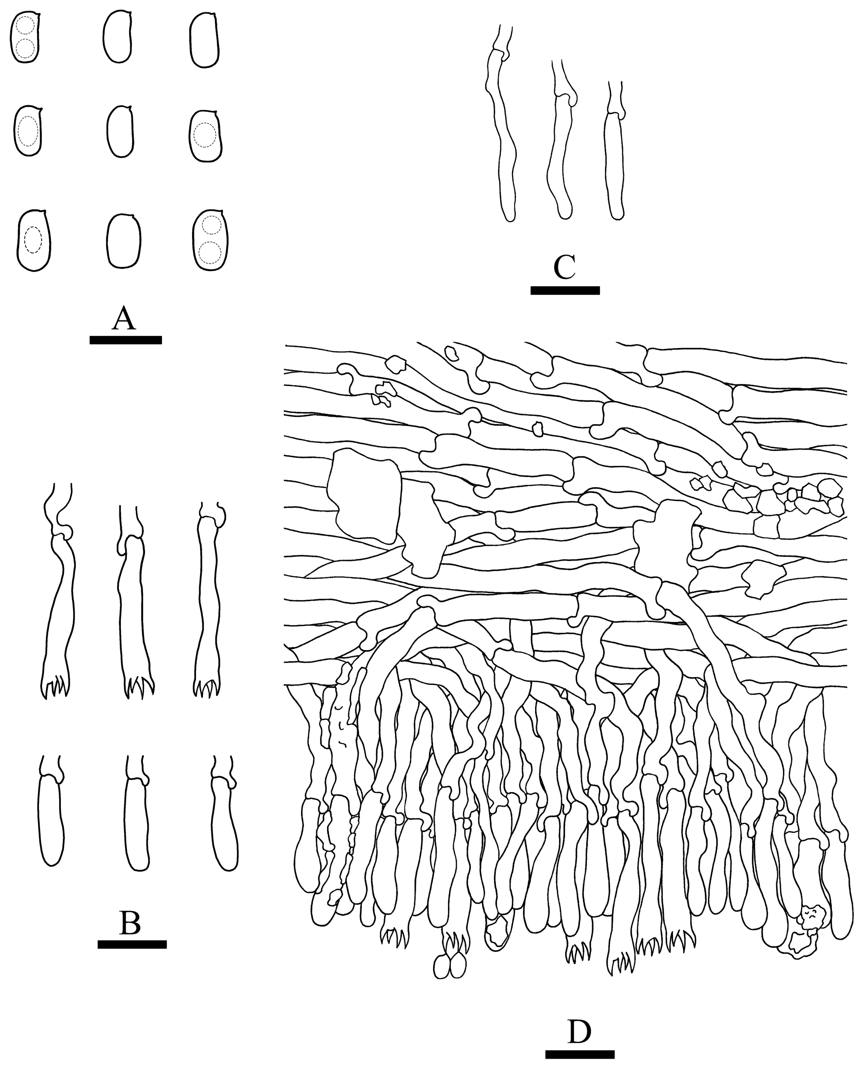 Jof 09 00320 g006 Jof 09 00320 g006
