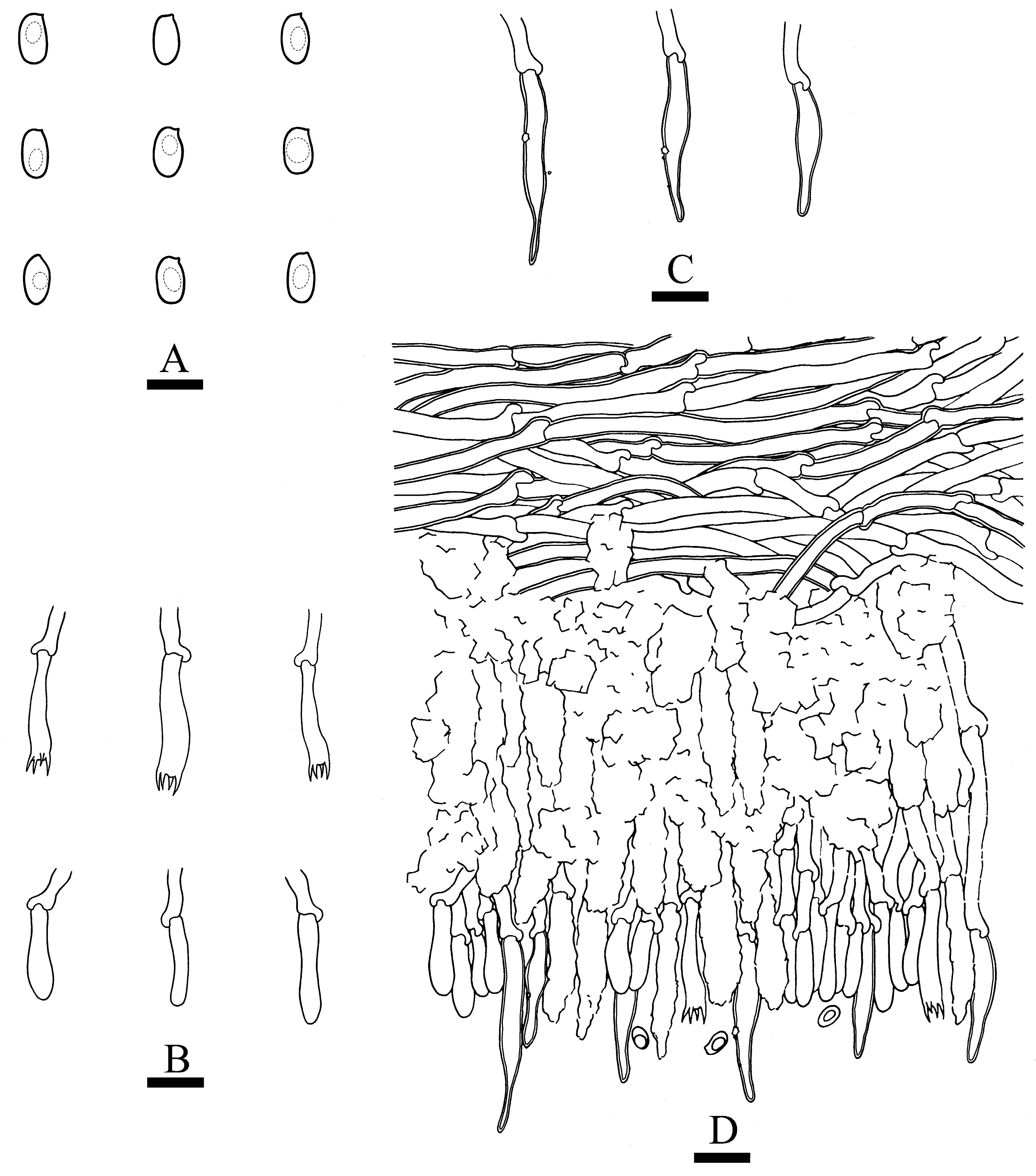 Jof 09 00320 g008 Jof 09 00320 g008