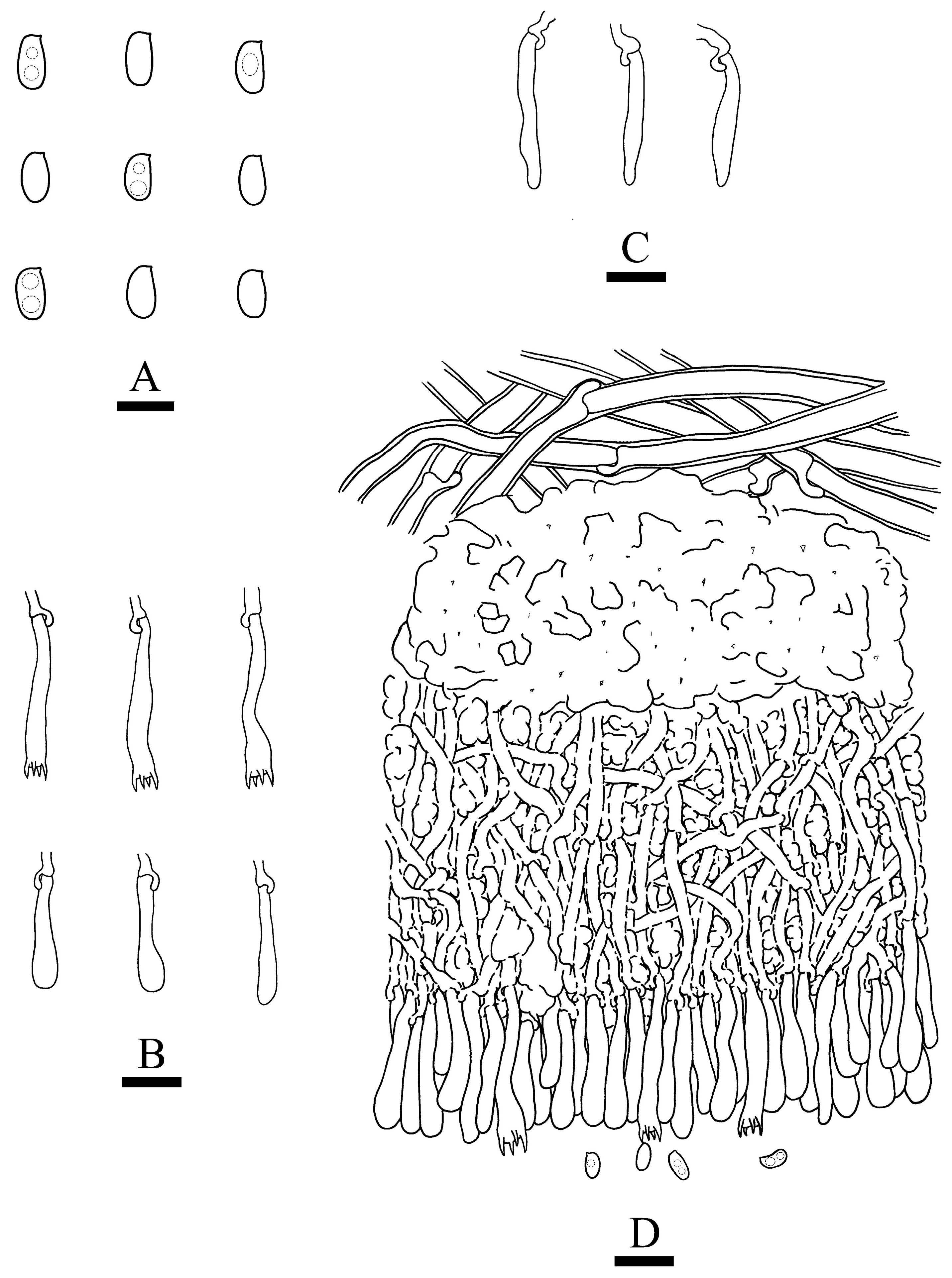 Jof 09 00320 g010 Jof 09 00320 g010