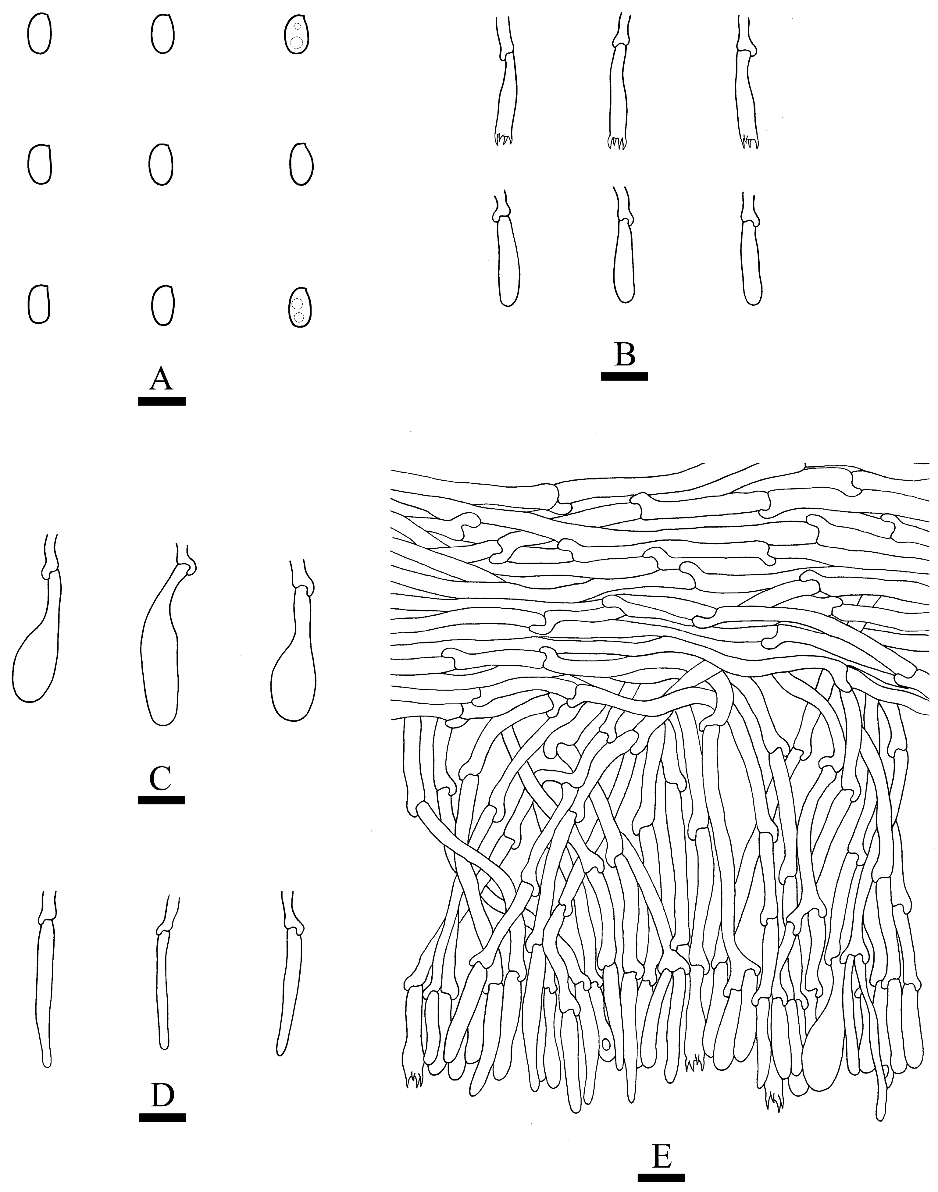 Jof 09 00320 g014 Jof 09 00320 g014