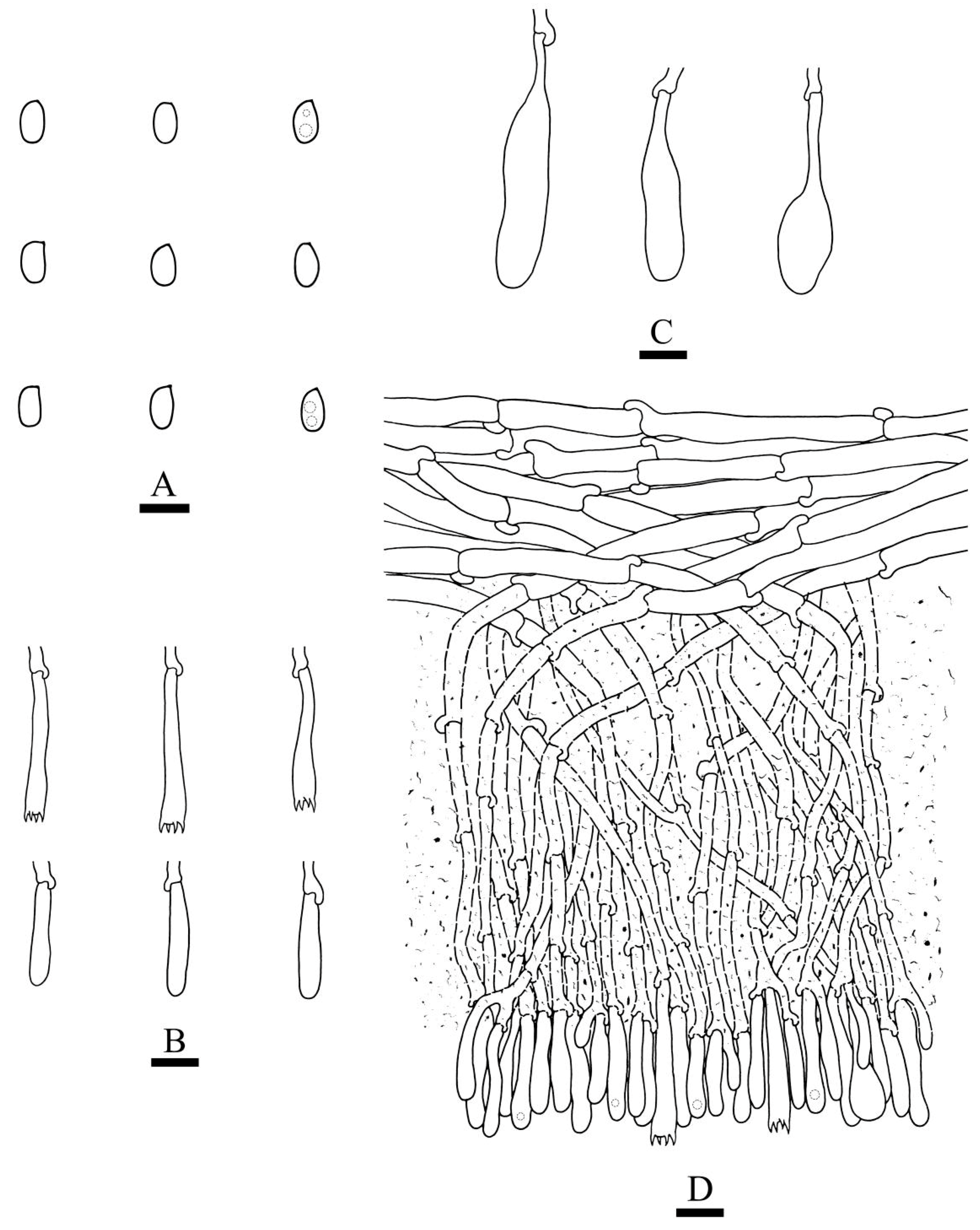 Jof 09 00320 g016 Jof 09 00320 g016