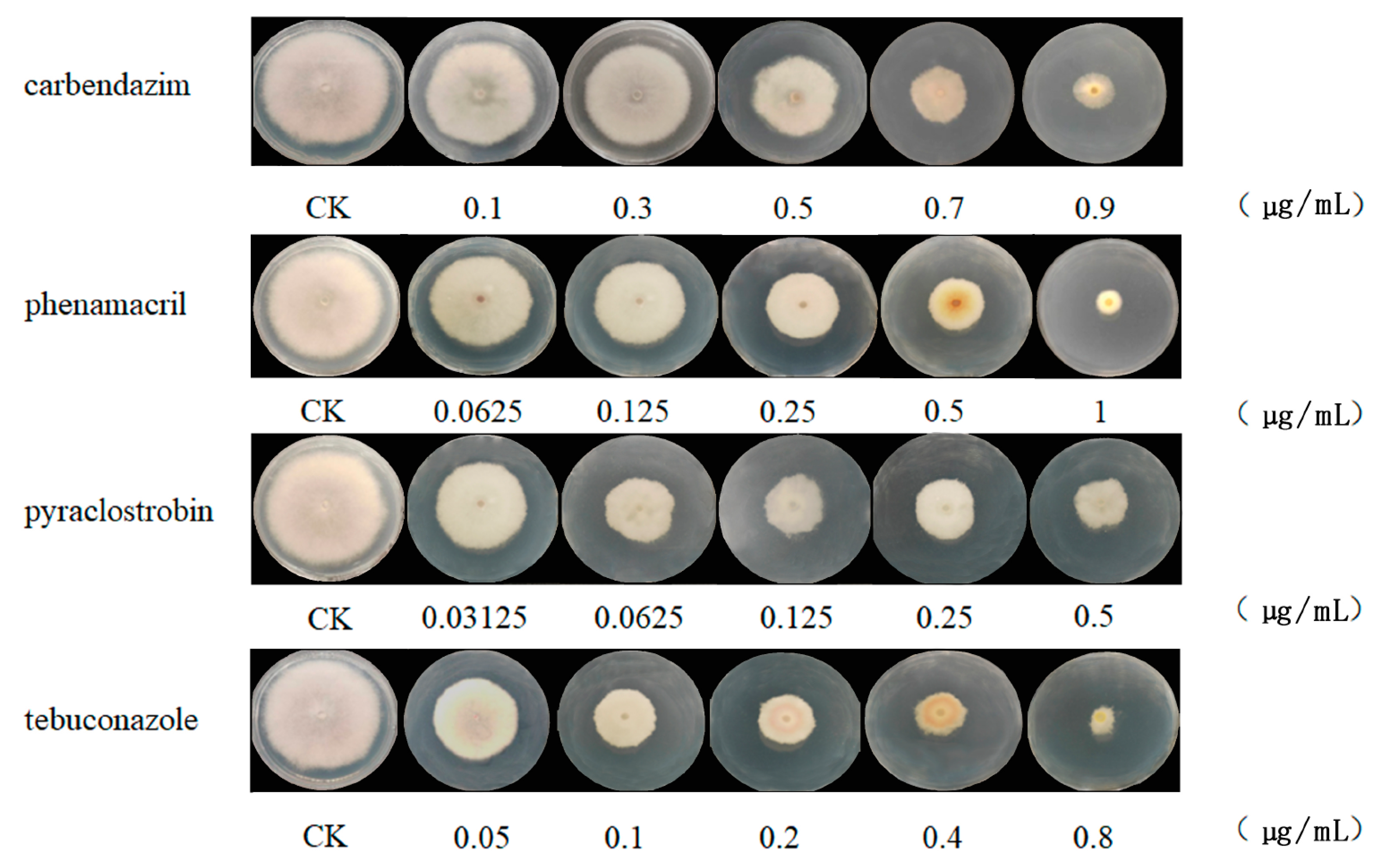 Jof 09 00334 g001 Jof 09 00334 g001