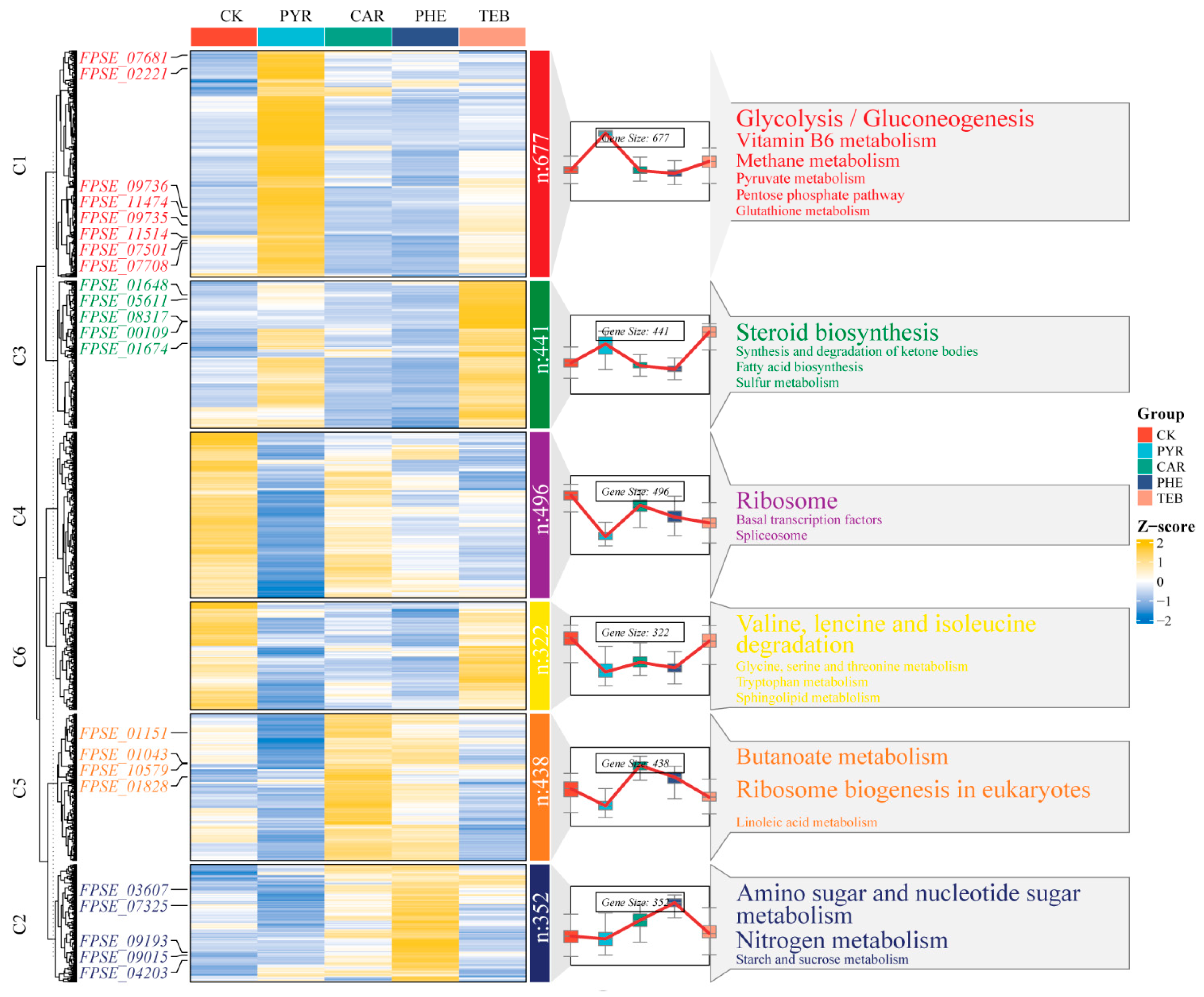 Jof 09 00334 g005 Jof 09 00334 g005