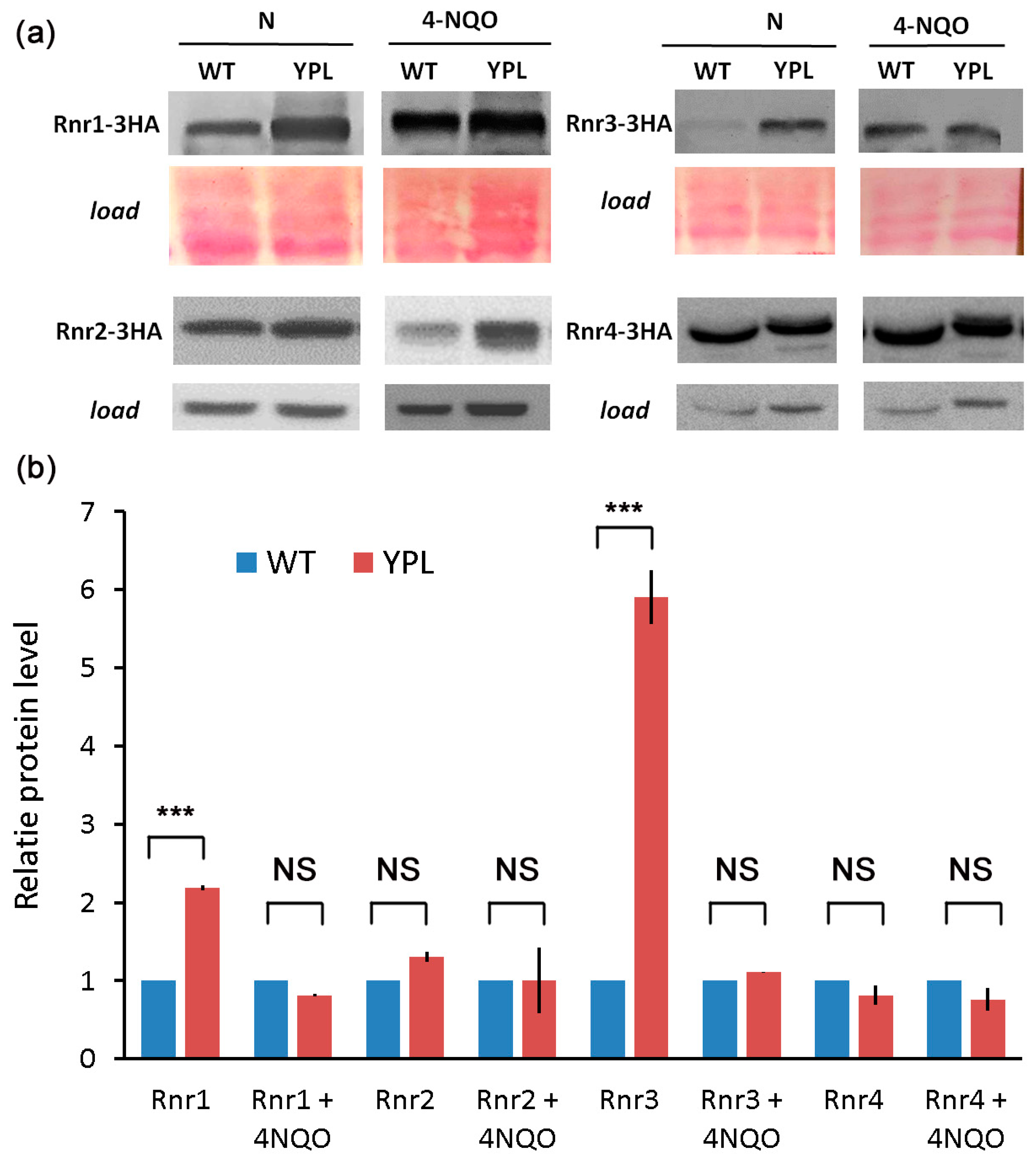 Jof 09 00351 g002 Jof 09 00351 g002