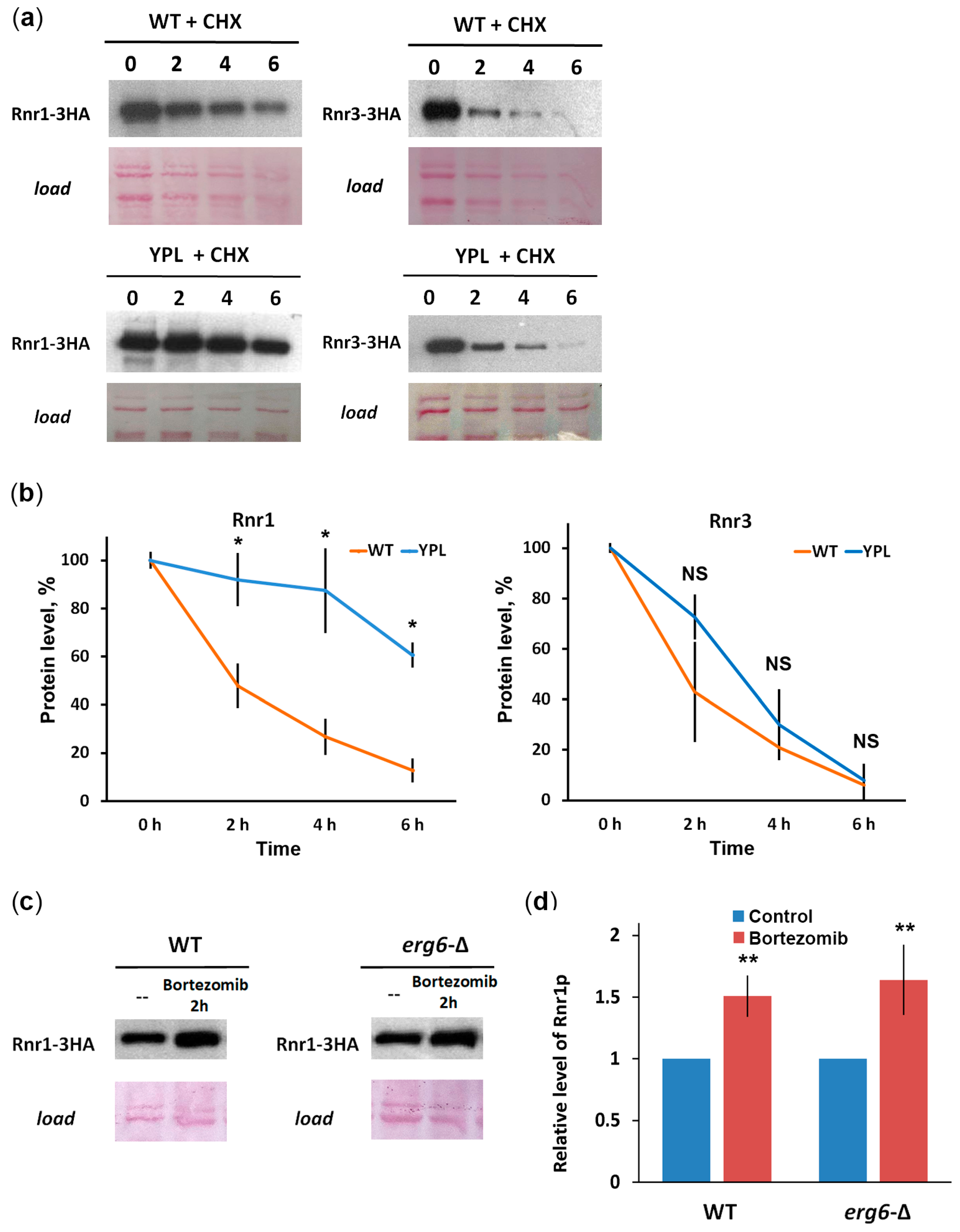 Jof 09 00351 g004 Jof 09 00351 g004