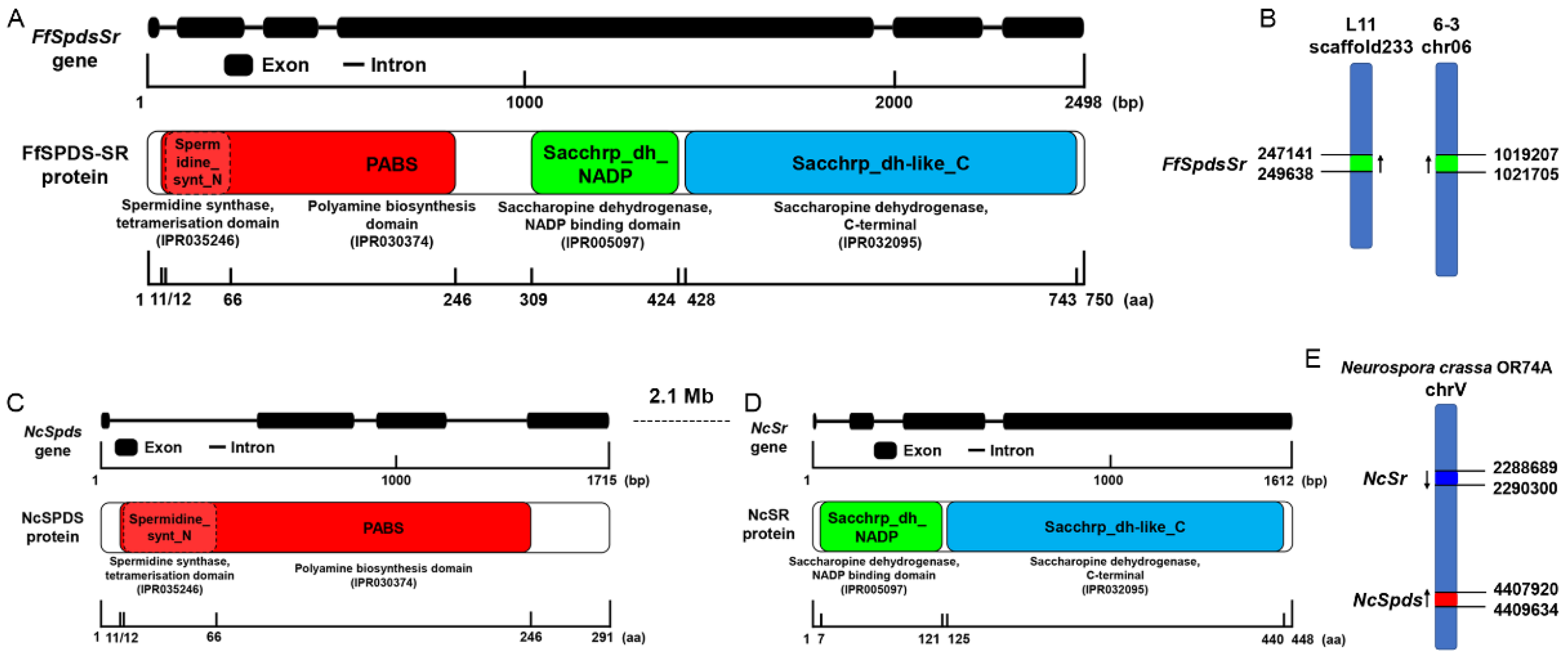 Jof 09 00352 g001 Jof 09 00352 g001