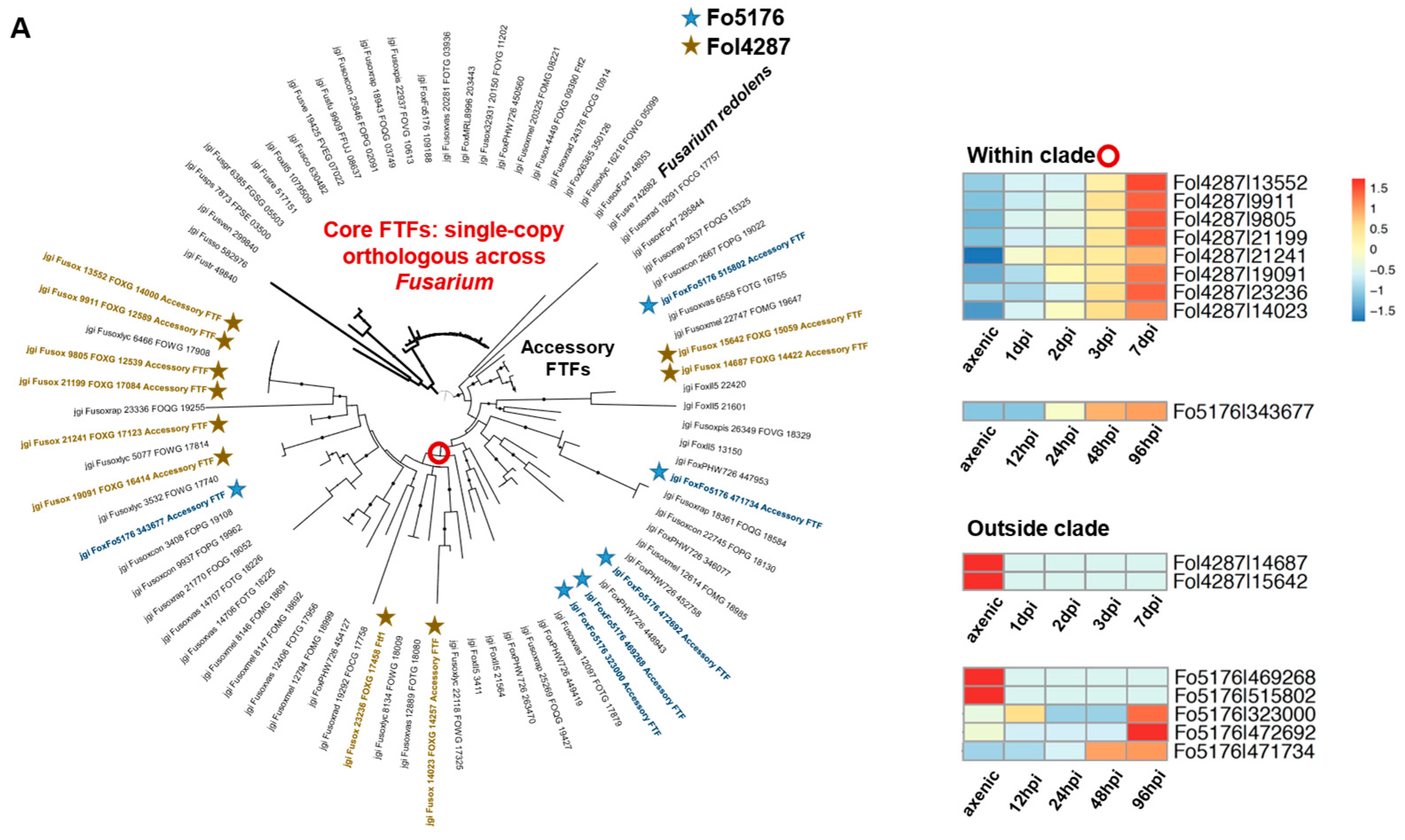 Jof 09 00359 g004a Jof 09 00359 g004a