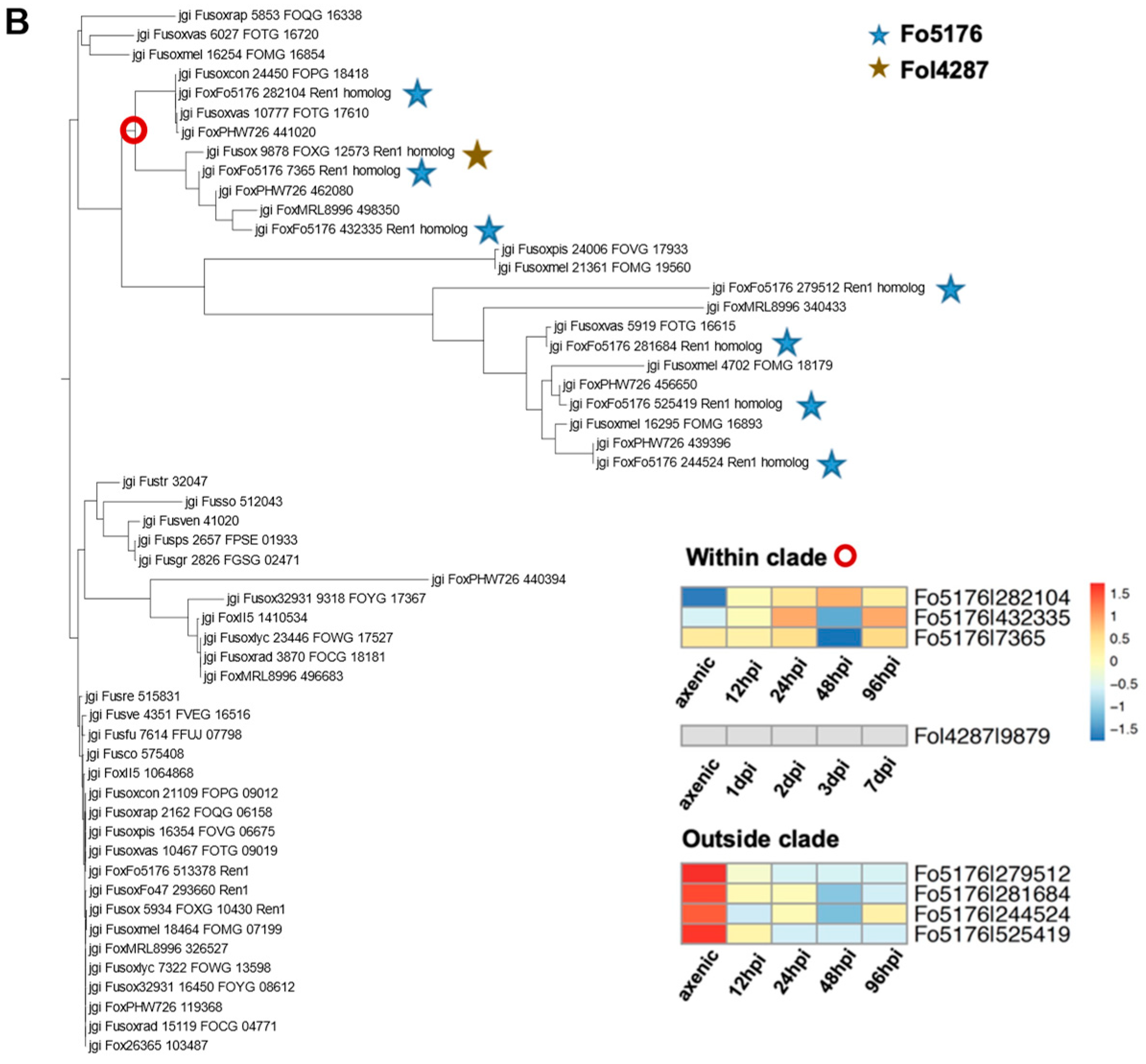 Jof 09 00359 g004b Jof 09 00359 g004b