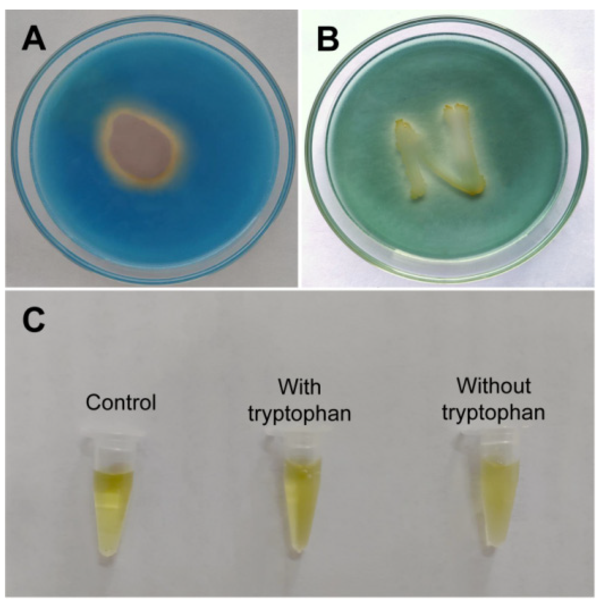 Jof 09 00367 g004 Jof 09 00367 g004