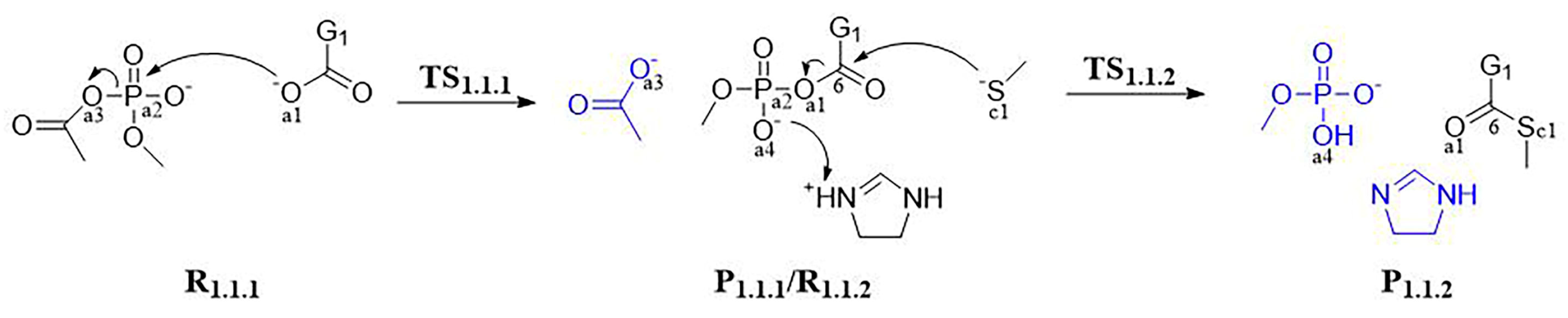 Jof 09 00369 sch003 Jof 09 00369 sch003