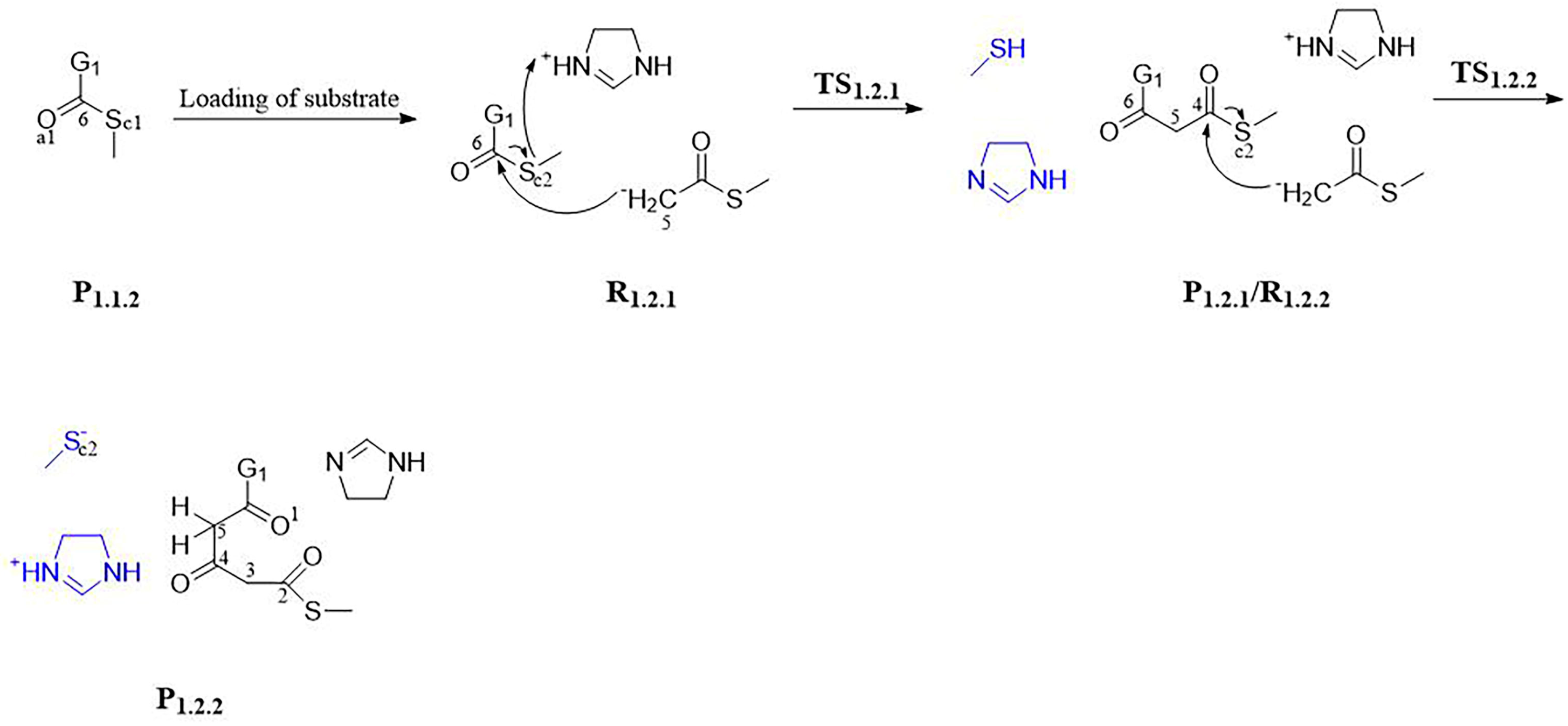 Jof 09 00369 sch004 Jof 09 00369 sch004