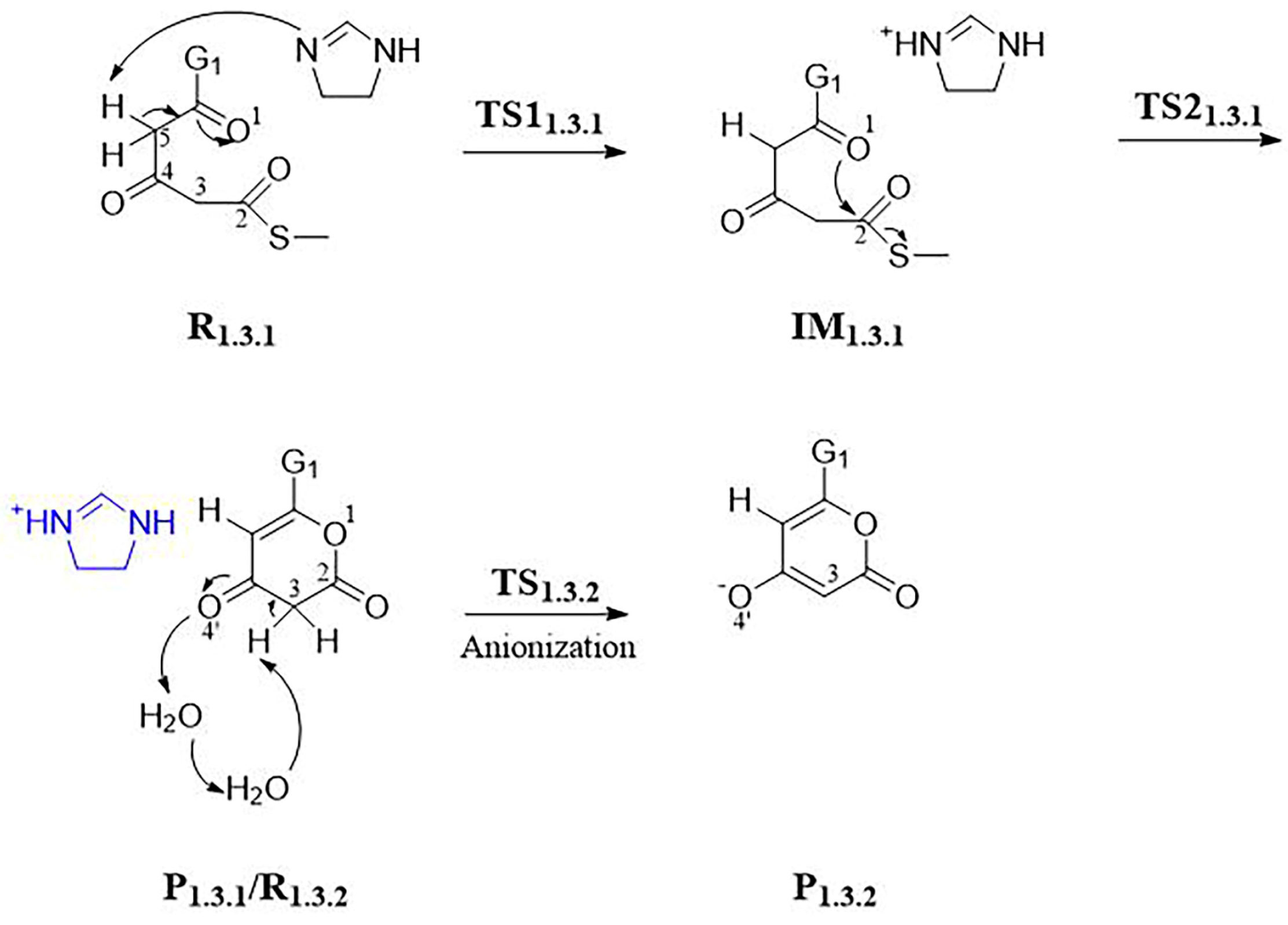 Jof 09 00369 sch005 Jof 09 00369 sch005