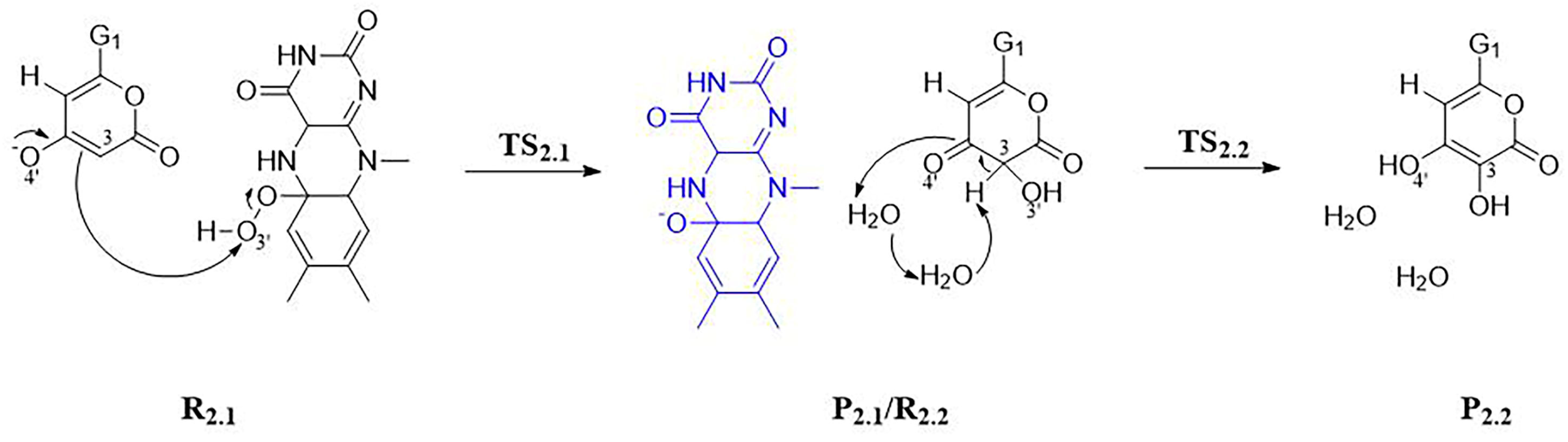 Jof 09 00369 sch006 Jof 09 00369 sch006