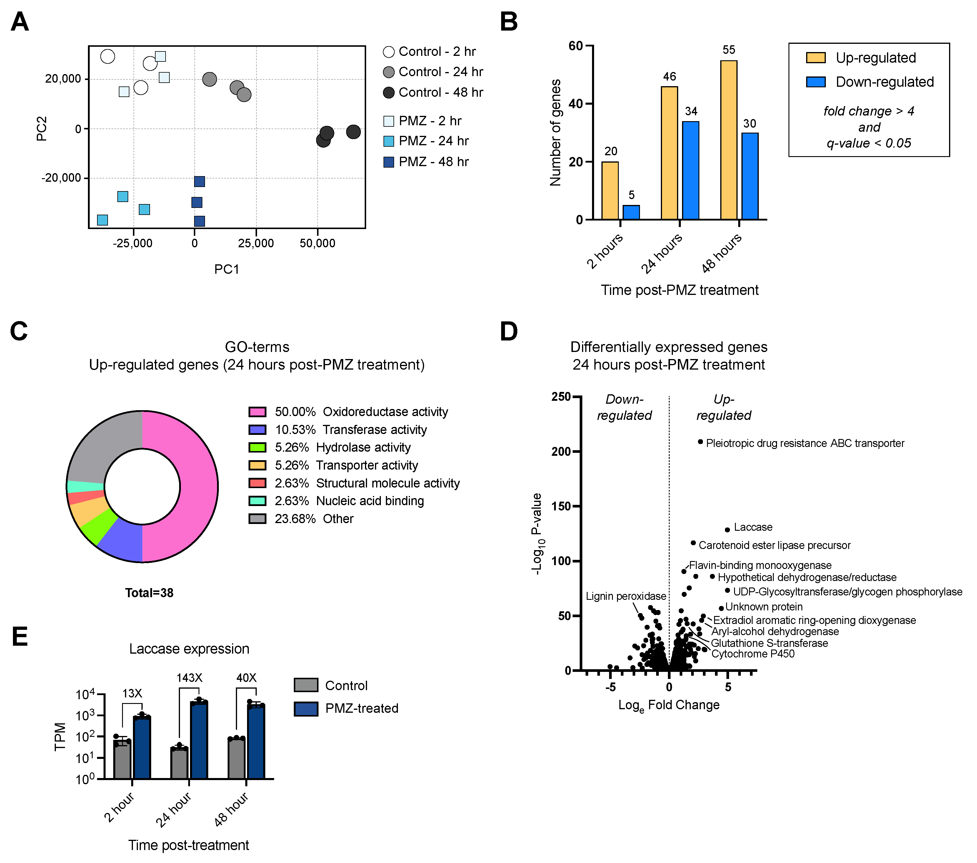 Jof 09 00371 g004 Jof 09 00371 g004