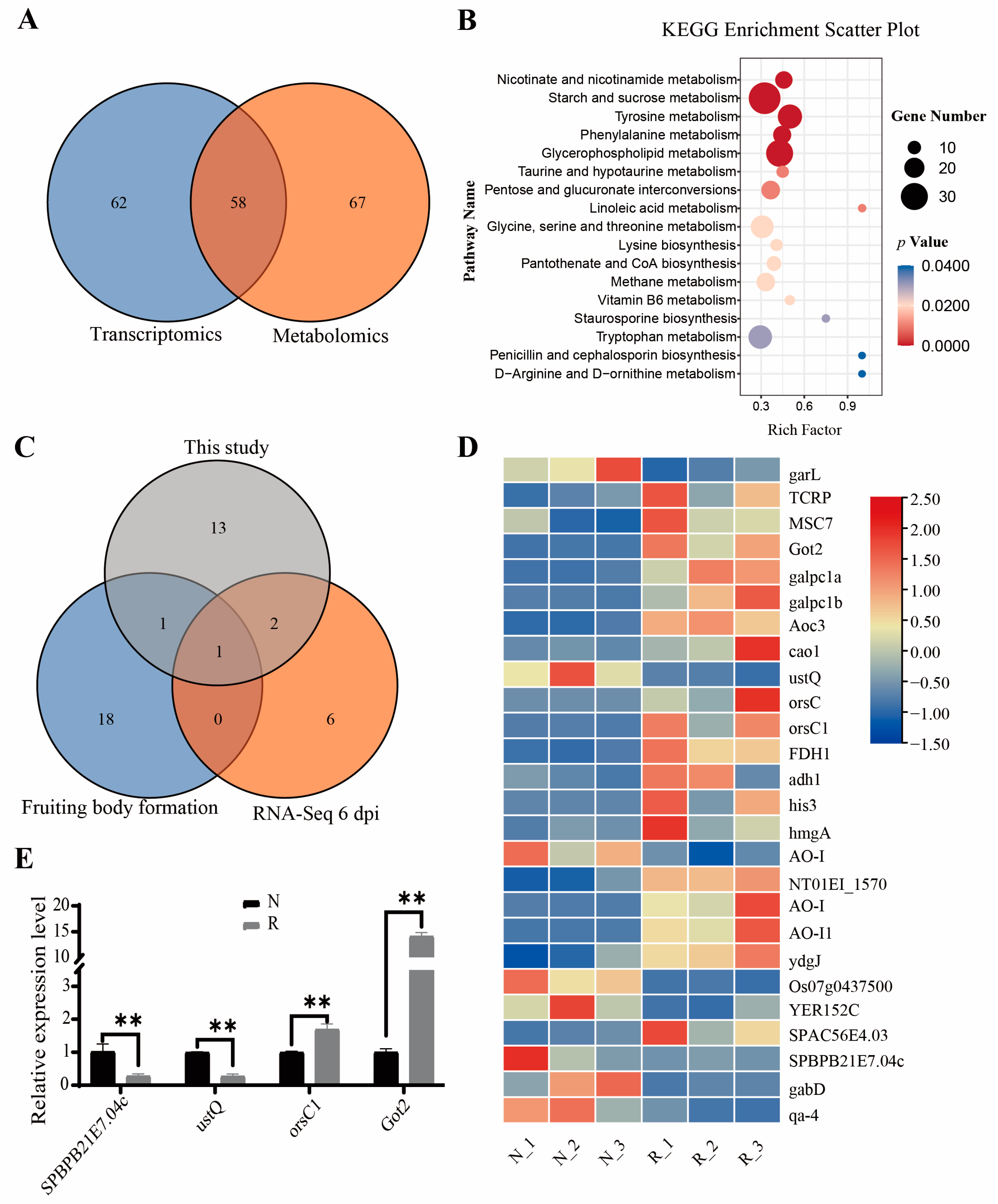 Jof 09 00373 g005 Jof 09 00373 g005