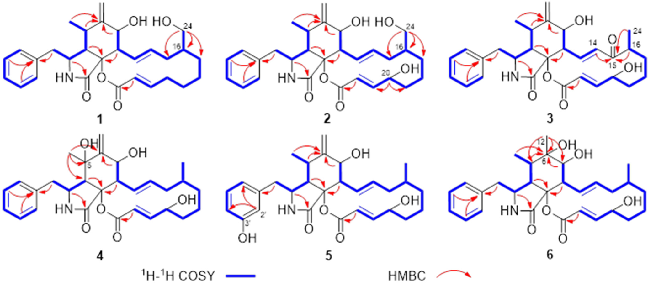 Jof 09 00374 g002 Jof 09 00374 g002
