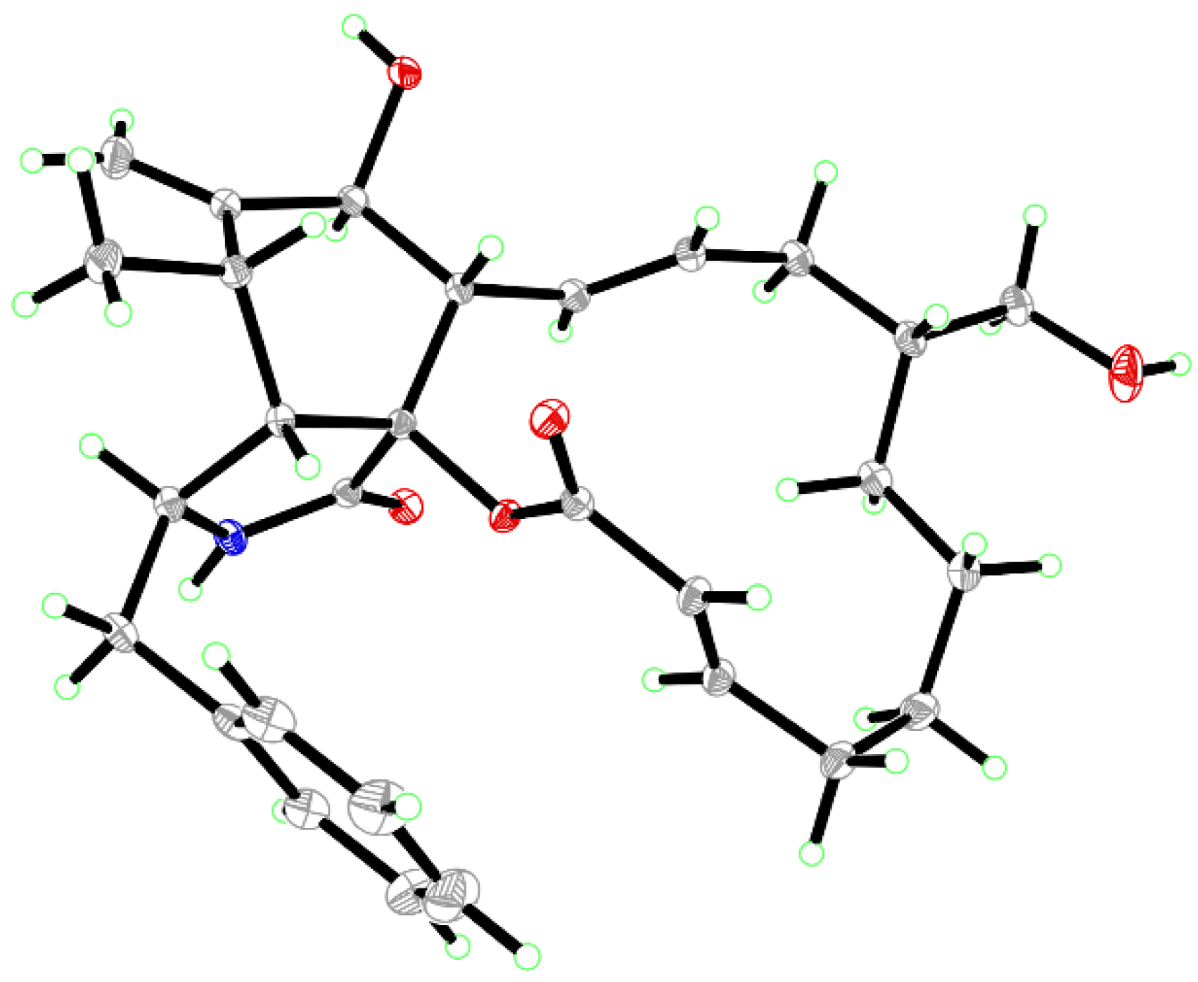 Jof 09 00374 g004 Jof 09 00374 g004