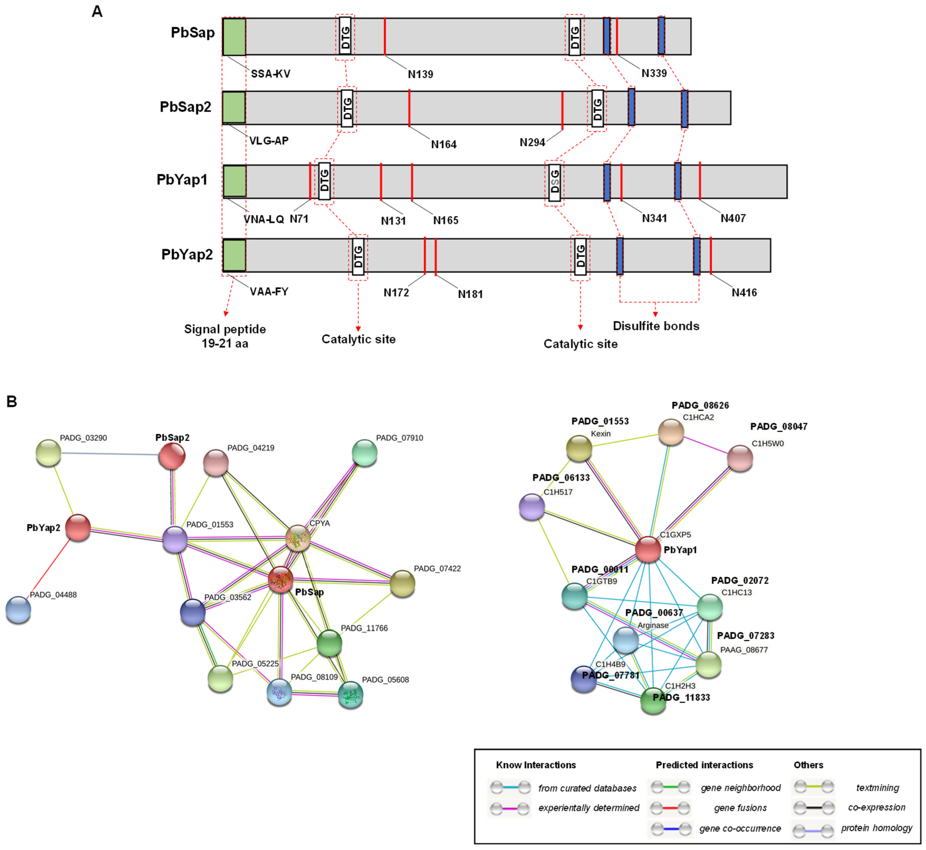 Jof 09 00375 g001 Jof 09 00375 g001