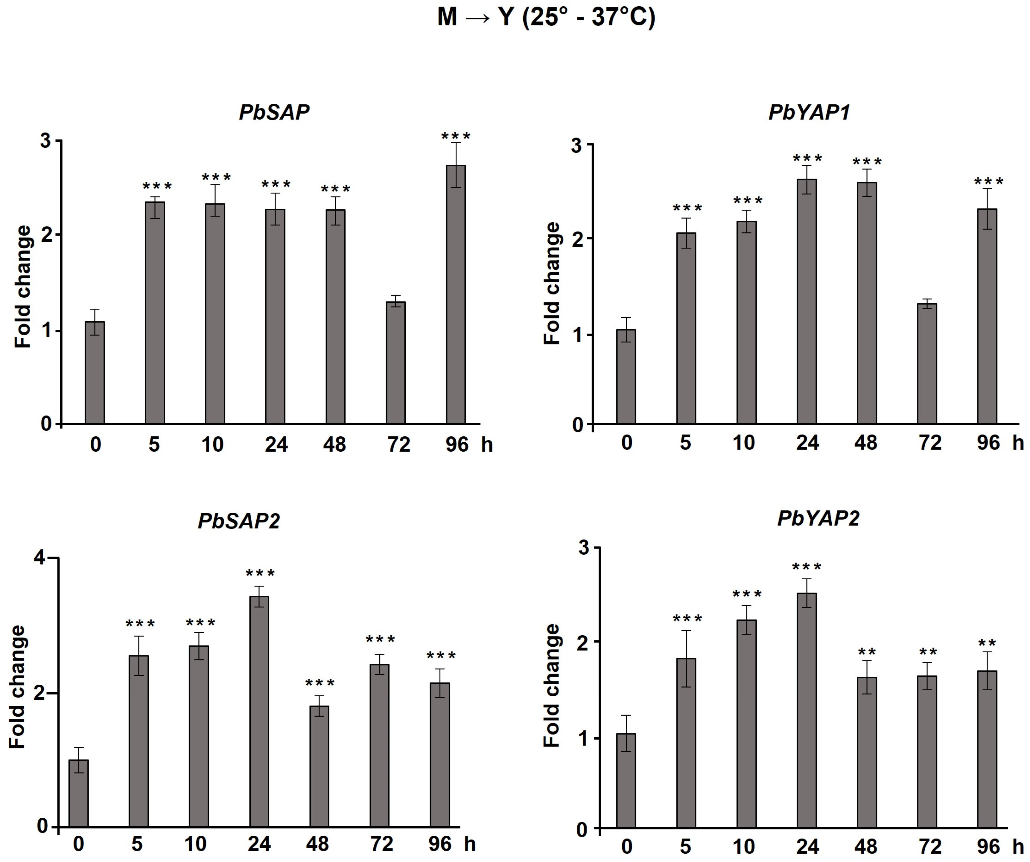 Jof 09 00375 g003 Jof 09 00375 g003