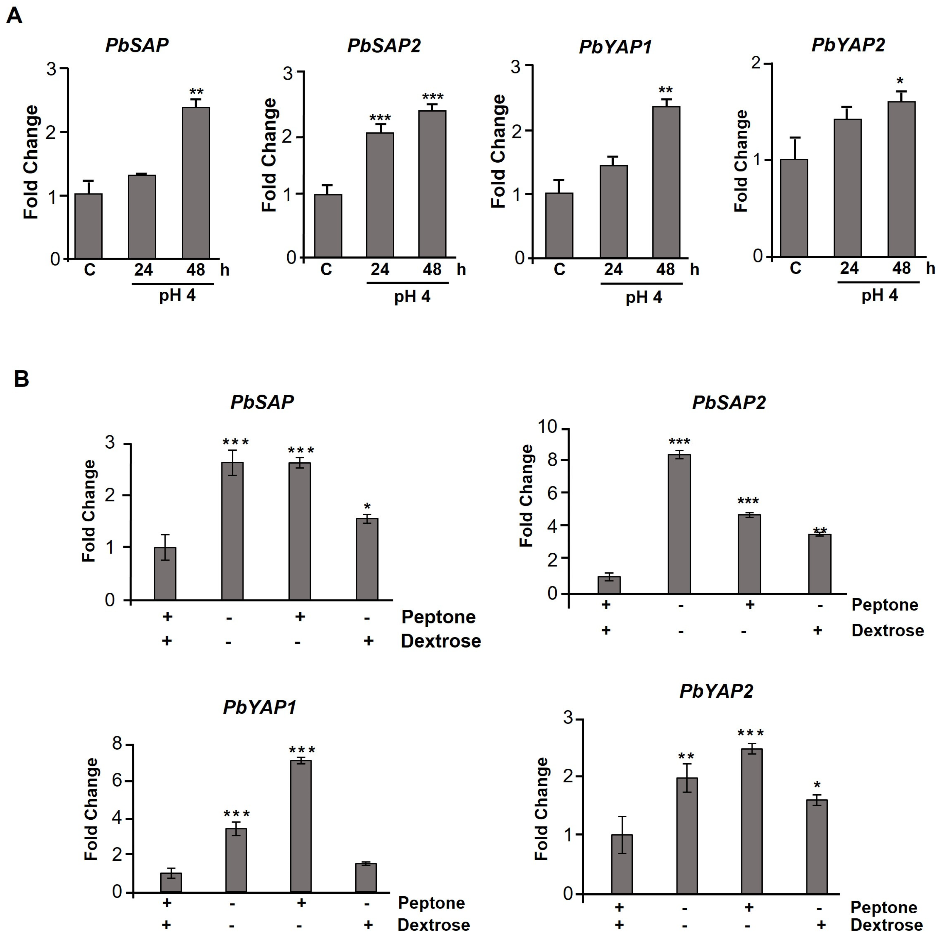 Jof 09 00375 g004 Jof 09 00375 g004