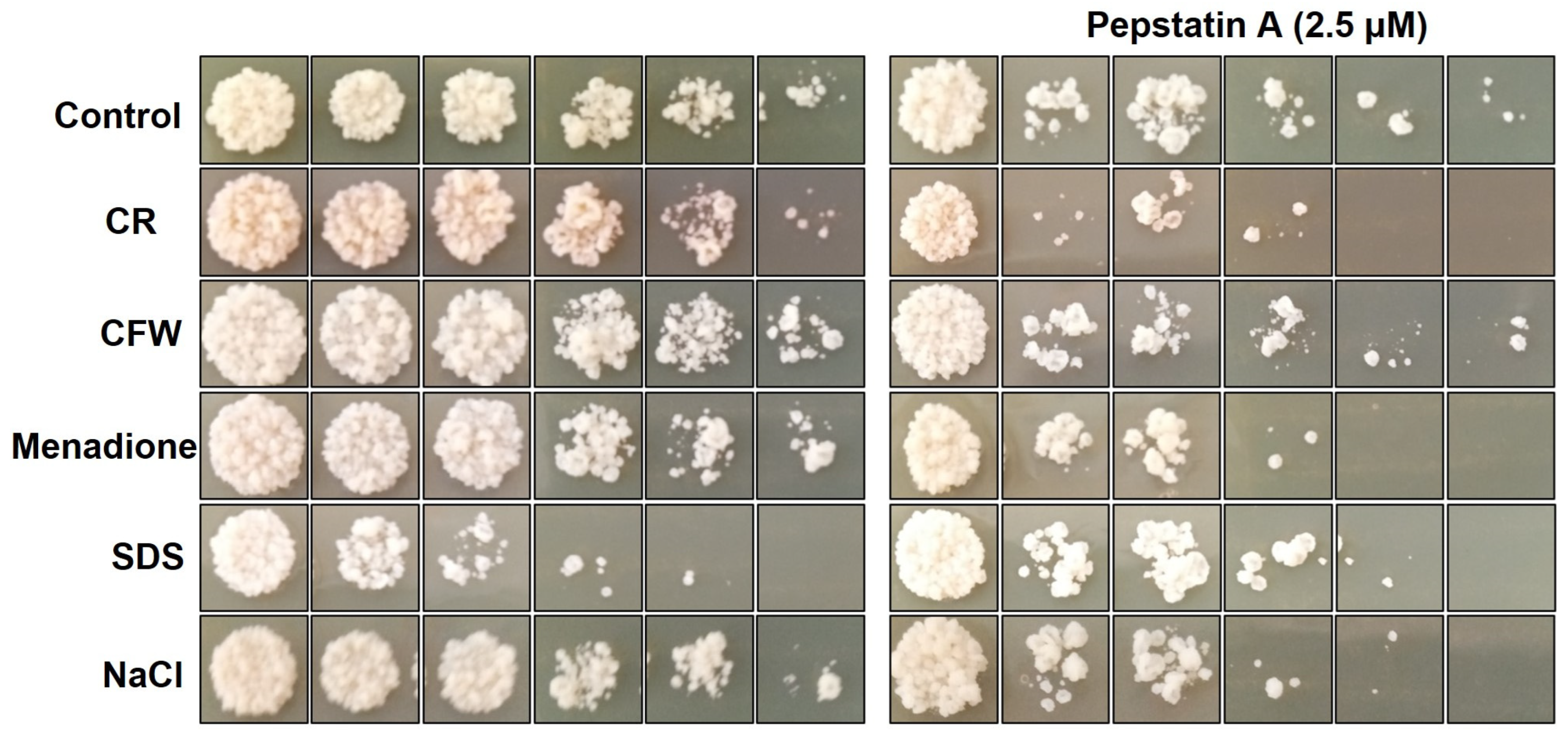 Jof 09 00375 g005 Jof 09 00375 g005