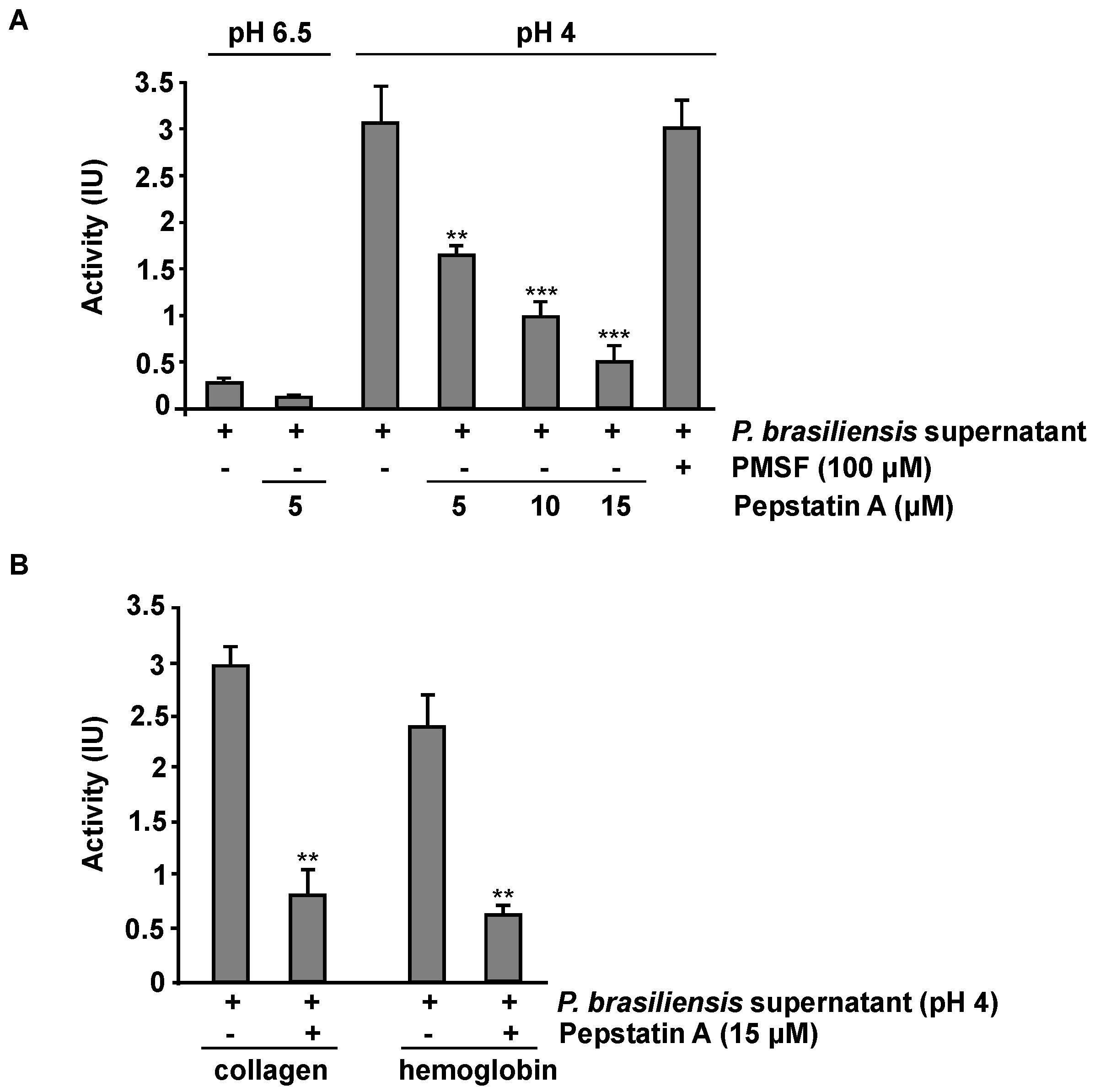 Jof 09 00375 g006 Jof 09 00375 g006