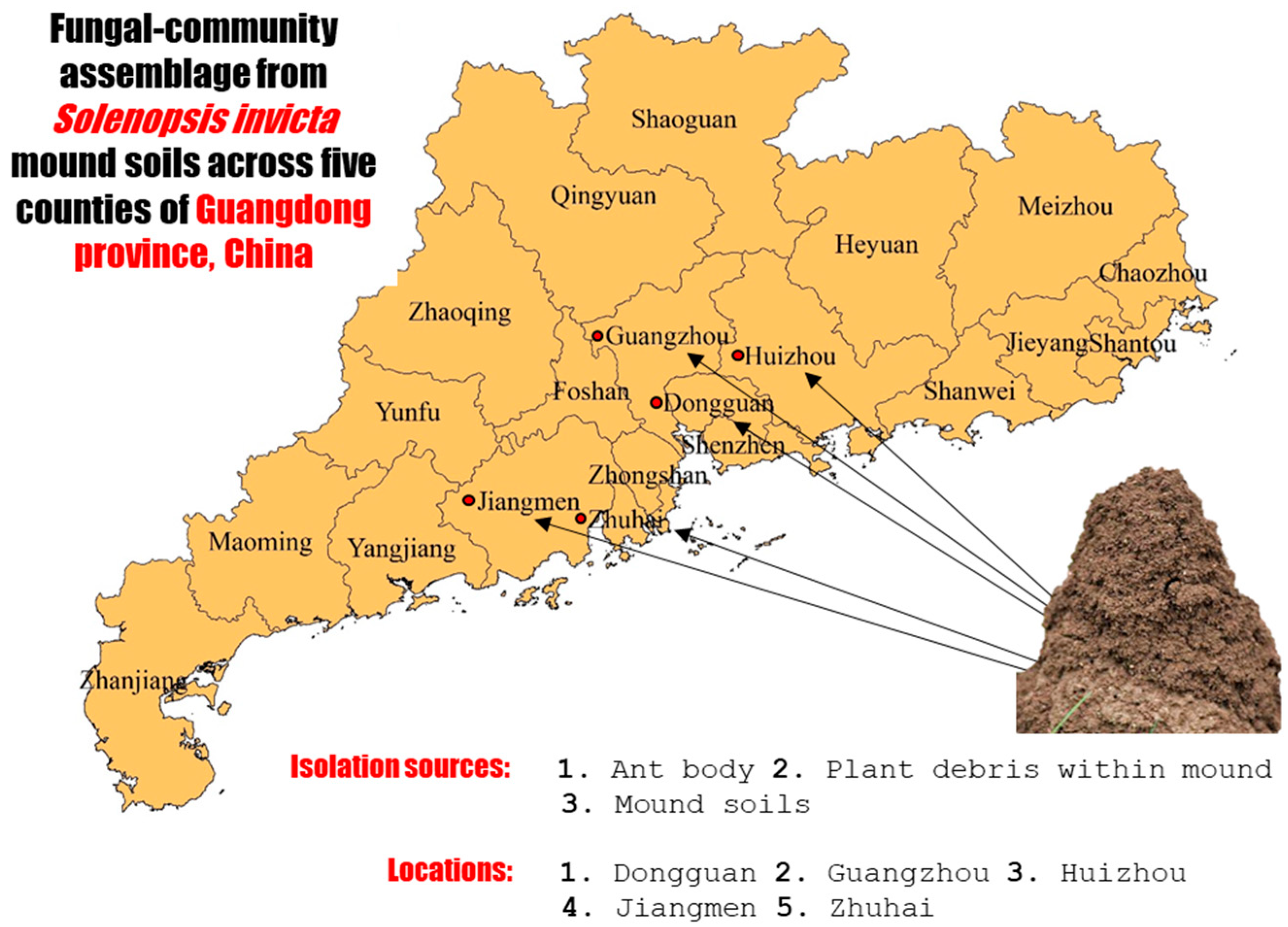 Jof 09 00377 g001 Jof 09 00377 g001