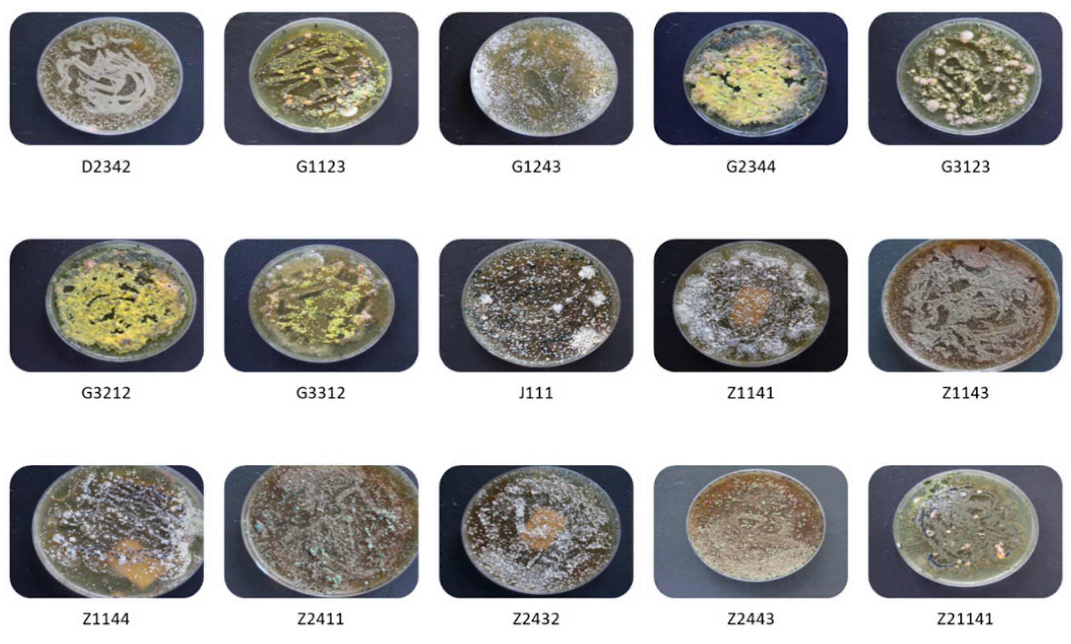 Jof 09 00377 g002 Jof 09 00377 g002