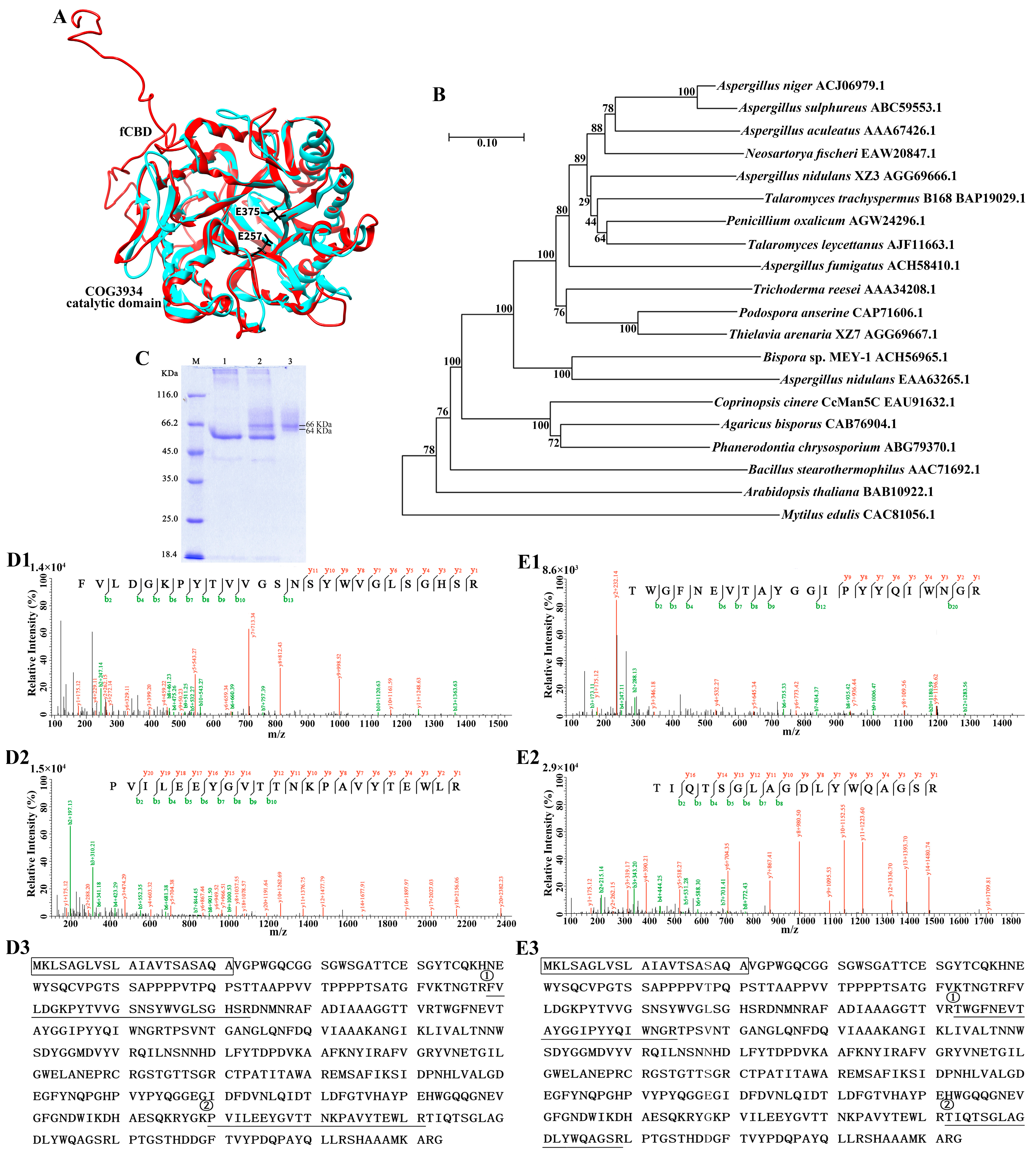 Jof 09 00378 g001 Jof 09 00378 g001