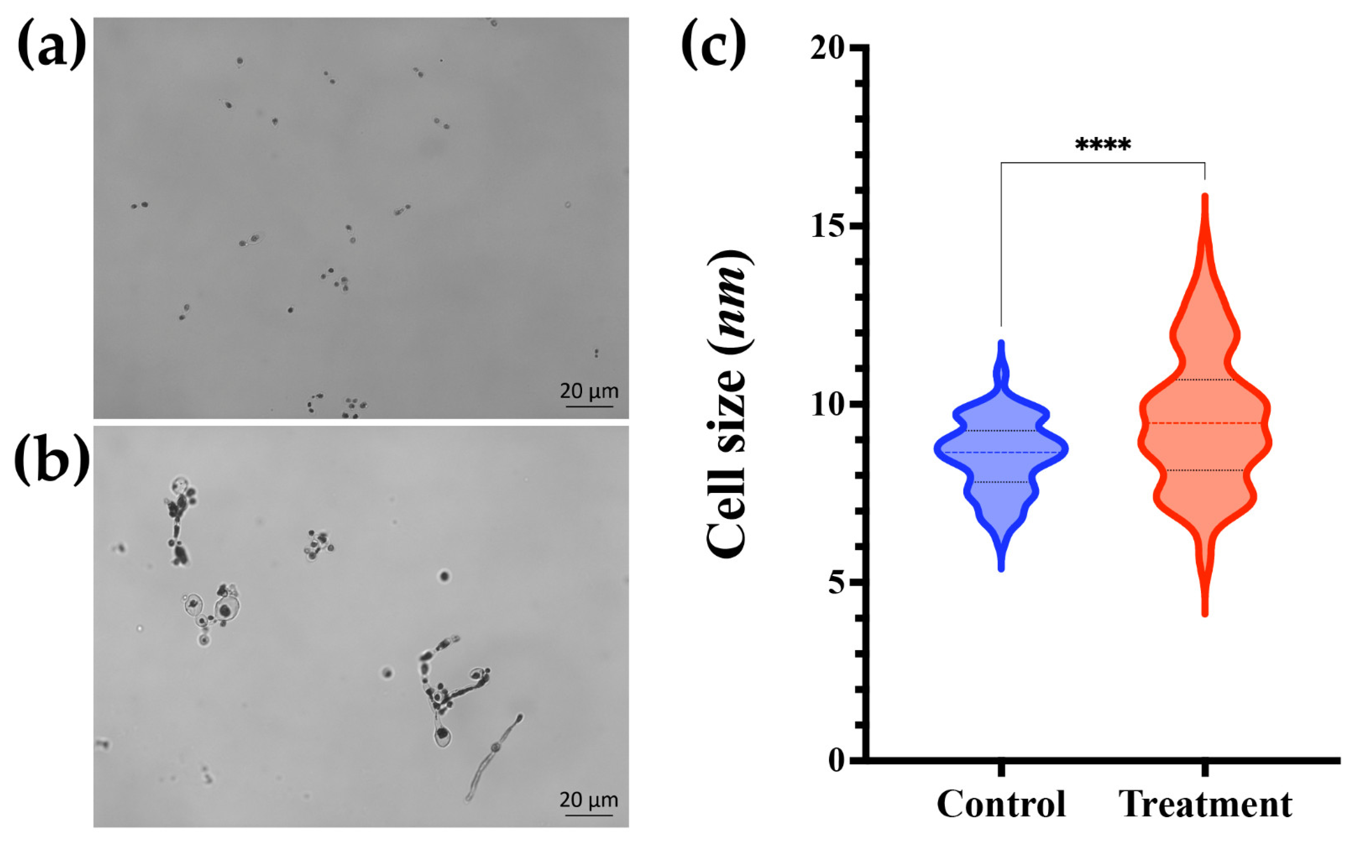 Jof 09 00385 g006 Jof 09 00385 g006