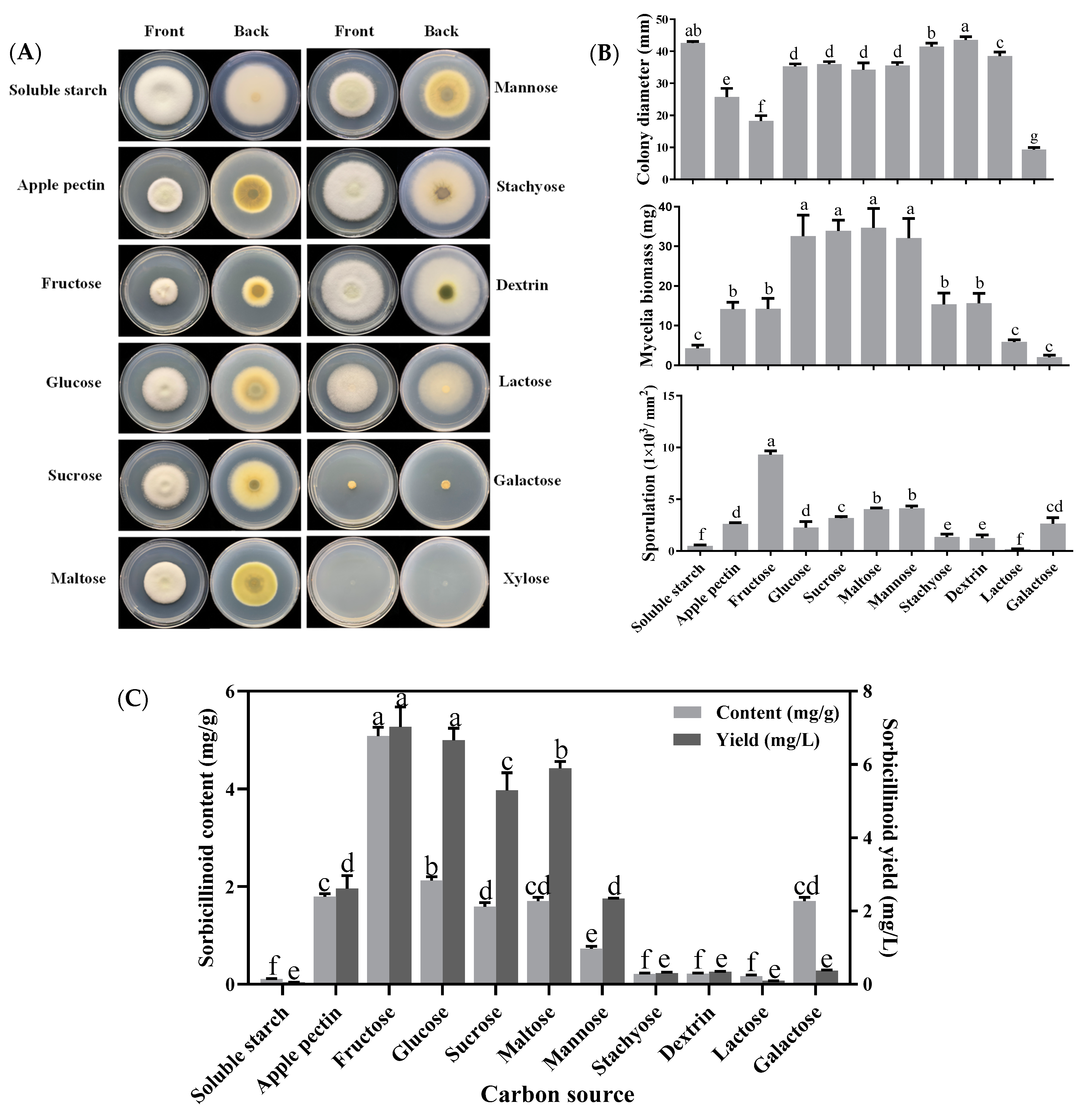 Jof 09 00390 g001 Jof 09 00390 g001