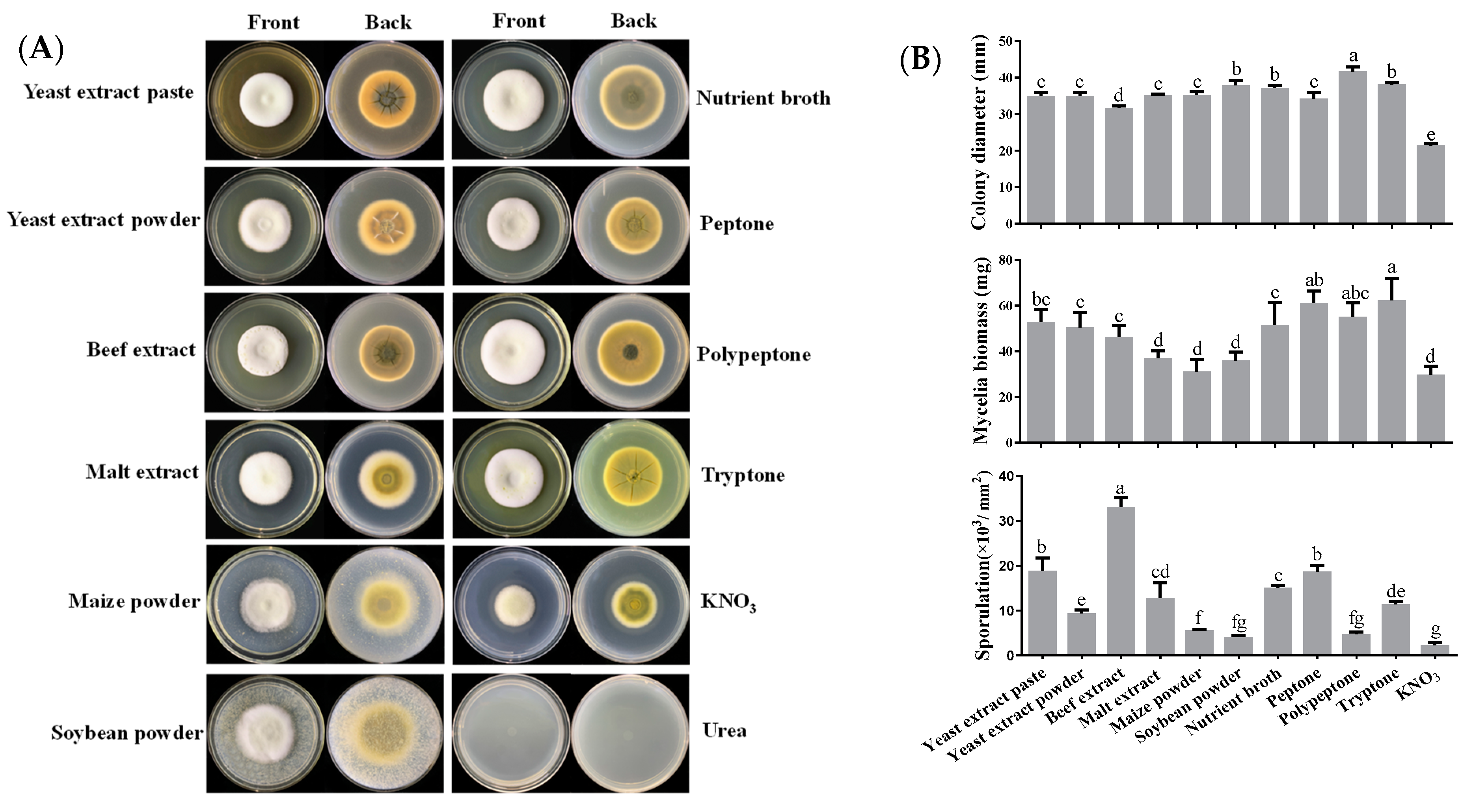 Jof 09 00390 g002a Jof 09 00390 g002a