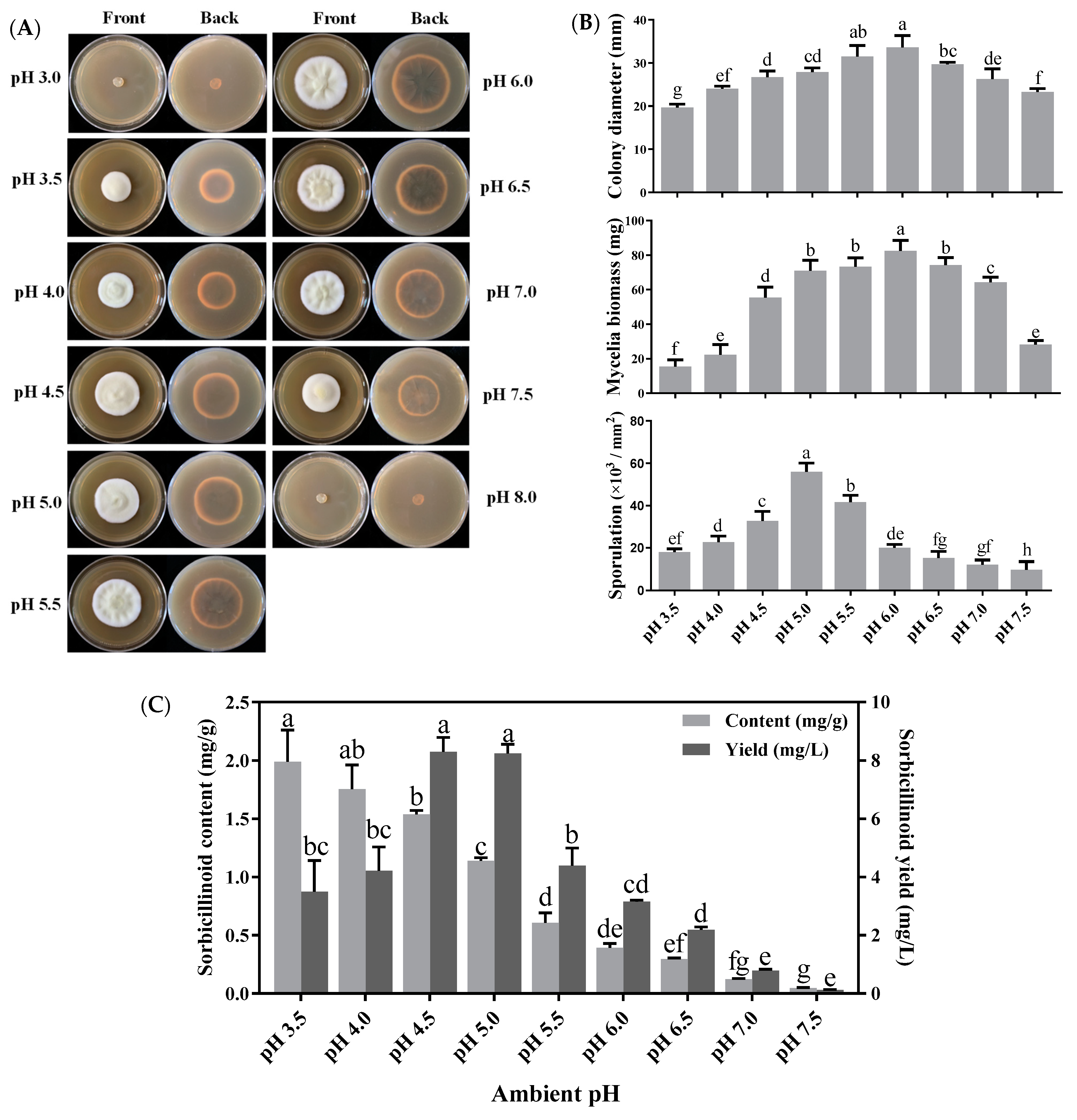 Jof 09 00390 g003 Jof 09 00390 g003
